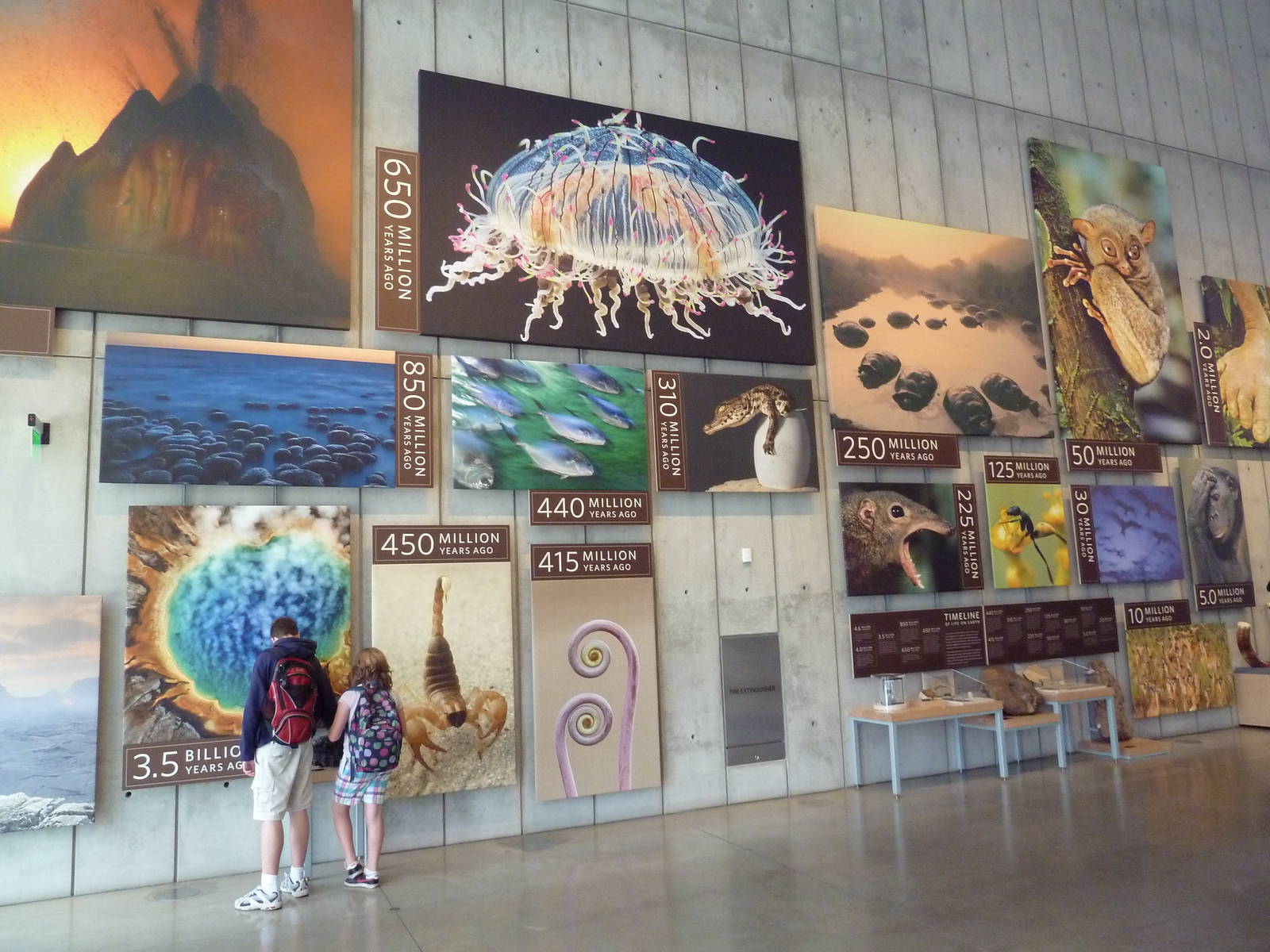 Islands Of Evolution