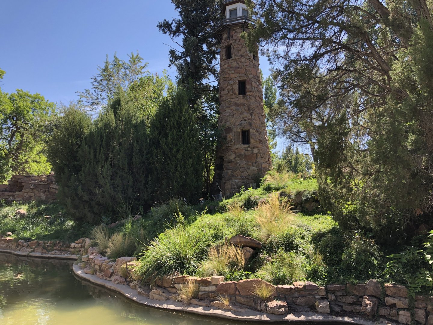 Islands of Life - lemur island