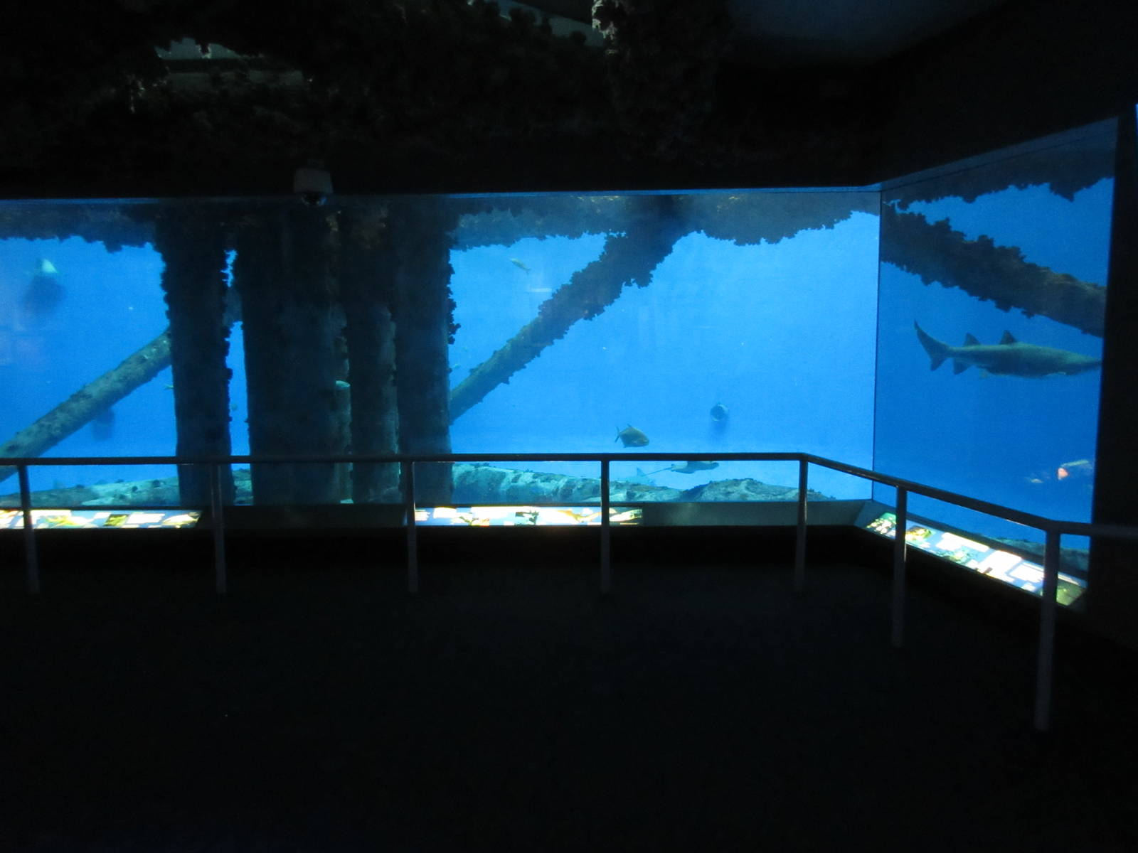 Islands of Steel Exhibit