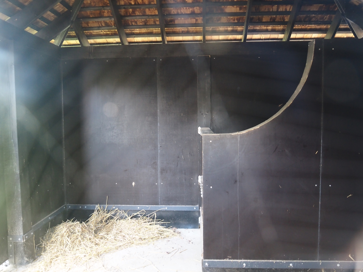 Islands of the Rising Sun - Hokkaido - Red-crowned crane barn, 2024-09-17