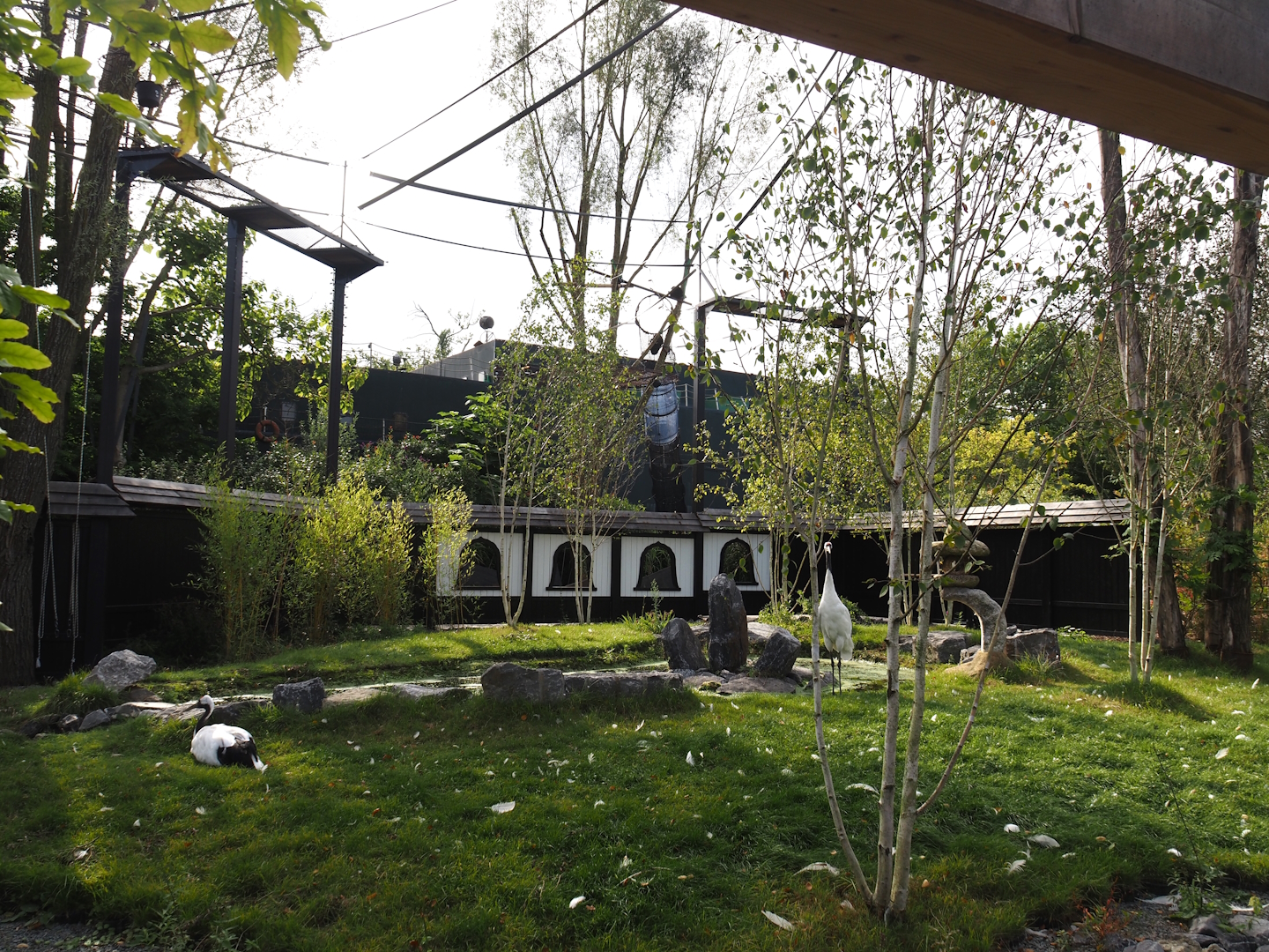 Islands of the Rising Sun - Hokkaido - Red-crowned crane exhibit and Siamang structures, 2024-09-17