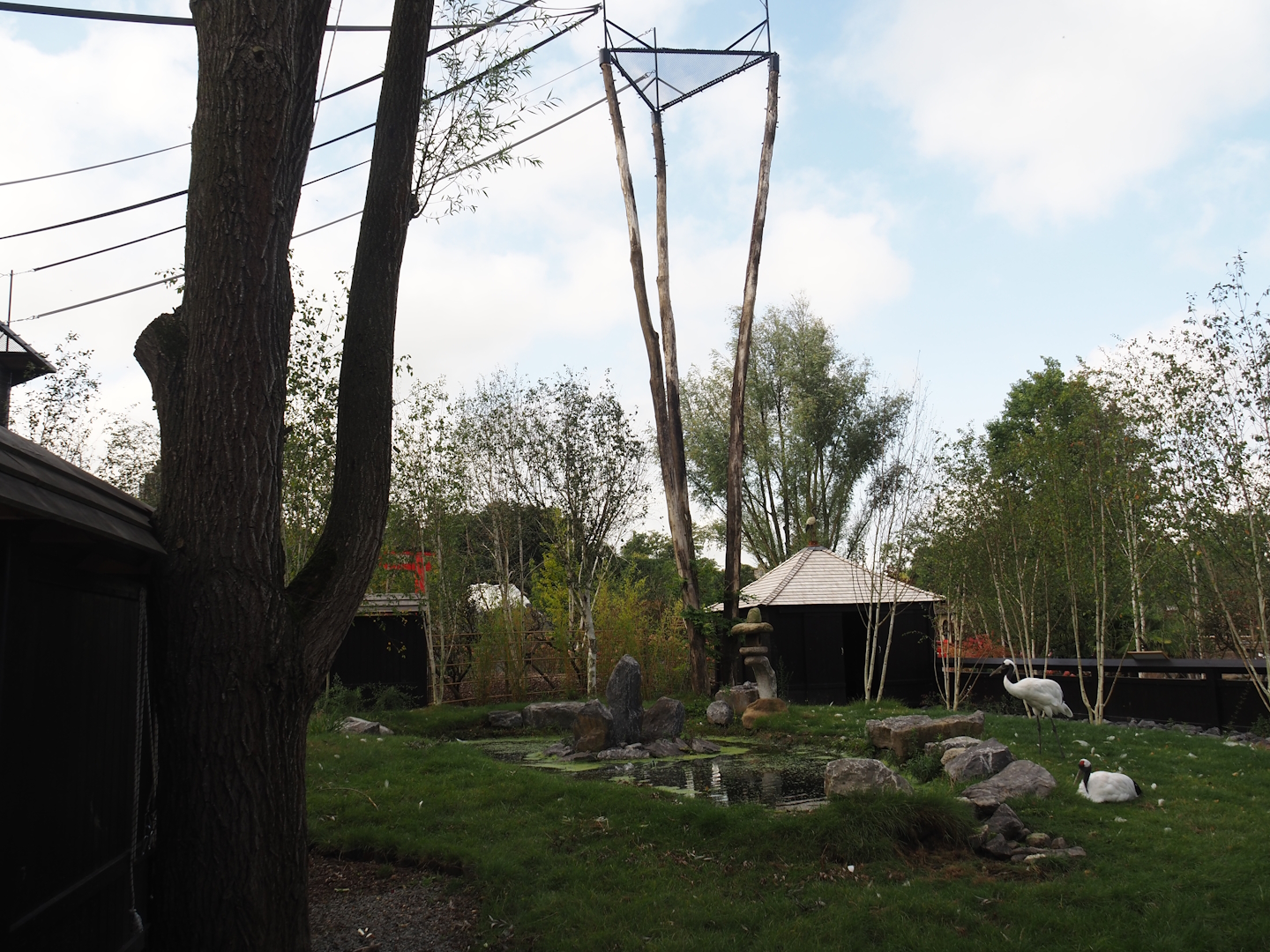 Islands of the Rising Sun - Hokkaido - Red-crowned crane exhibit and Siamang structures, 2024-09-17