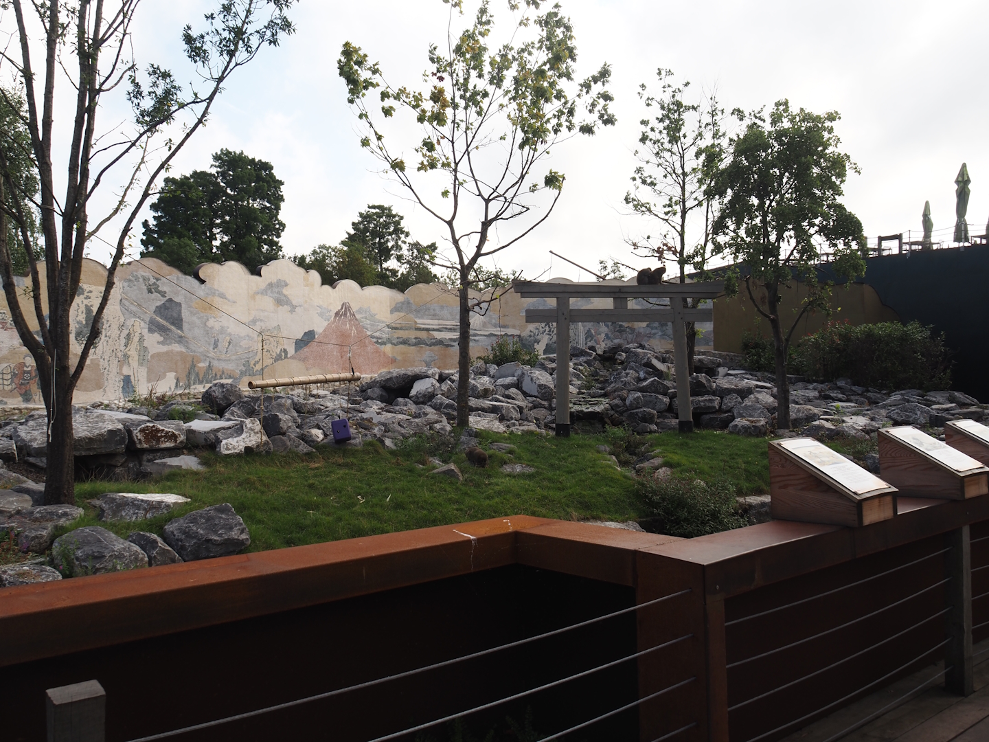 Islands of the Rising Sun - Hokkaido - Second Japanese macaque exhibit, 2024-09-17