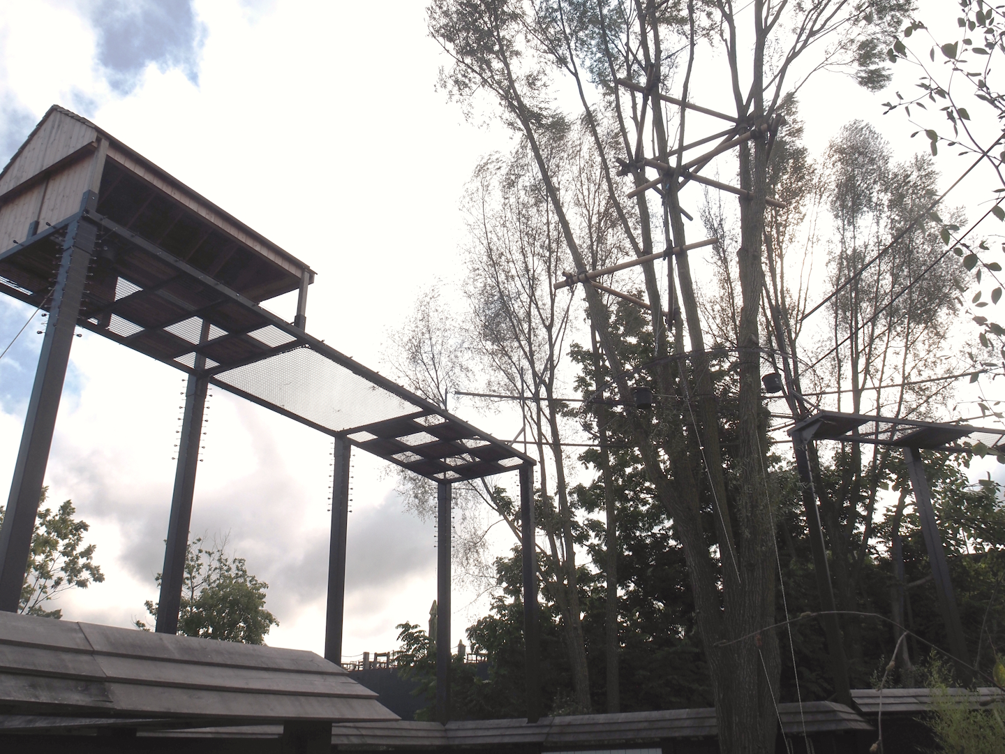 Islands of the Rising Sun - Hokkaido - Siamang structures, 2024-09-17