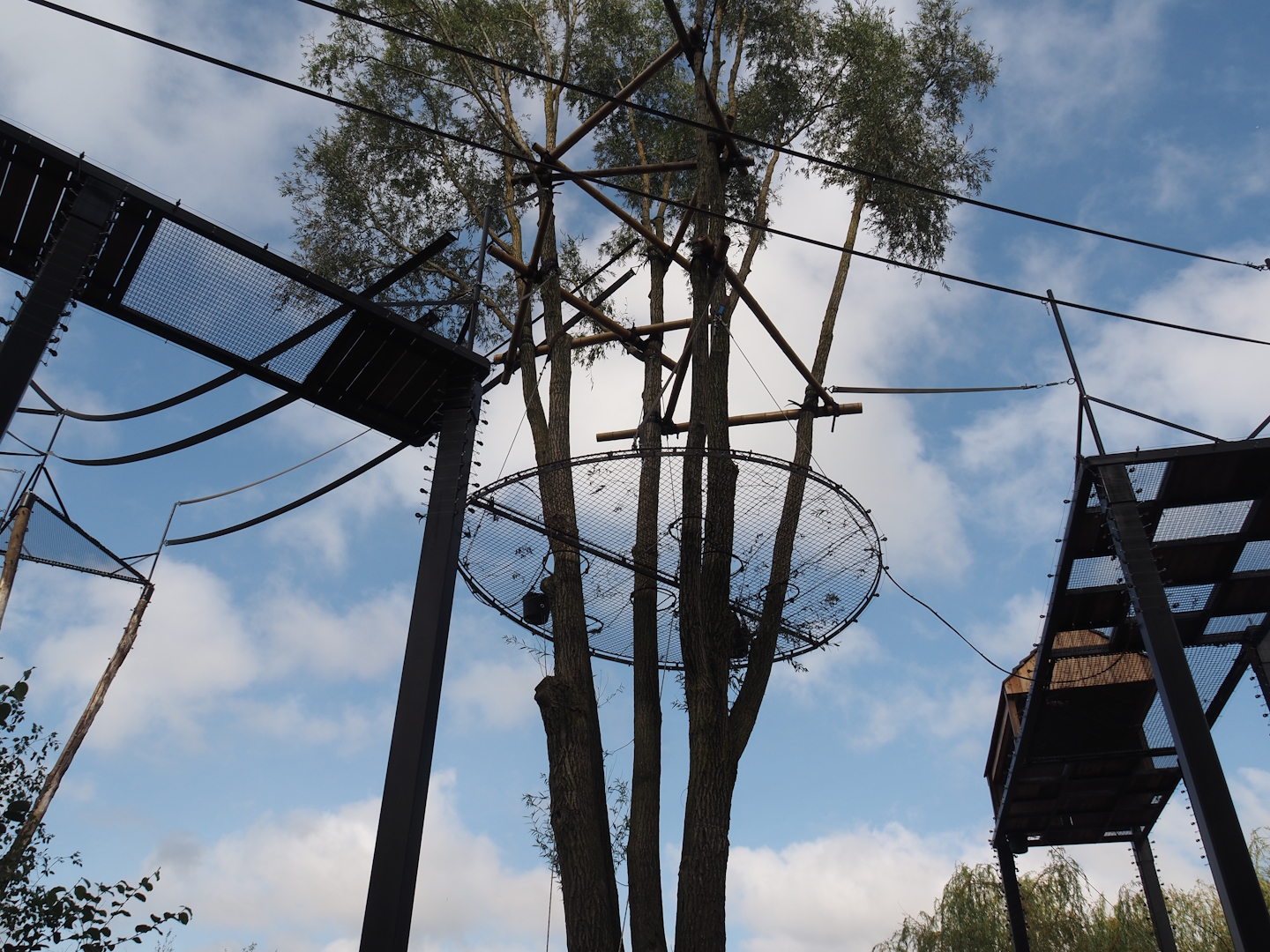 Islands of the Rising Sun - Hokkaido - Siamang structures, 2024-09-17