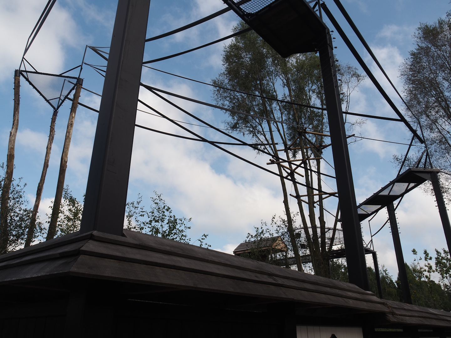 Islands of the Rising Sun - Hokkaido - Siamang structures, 2024-09-17