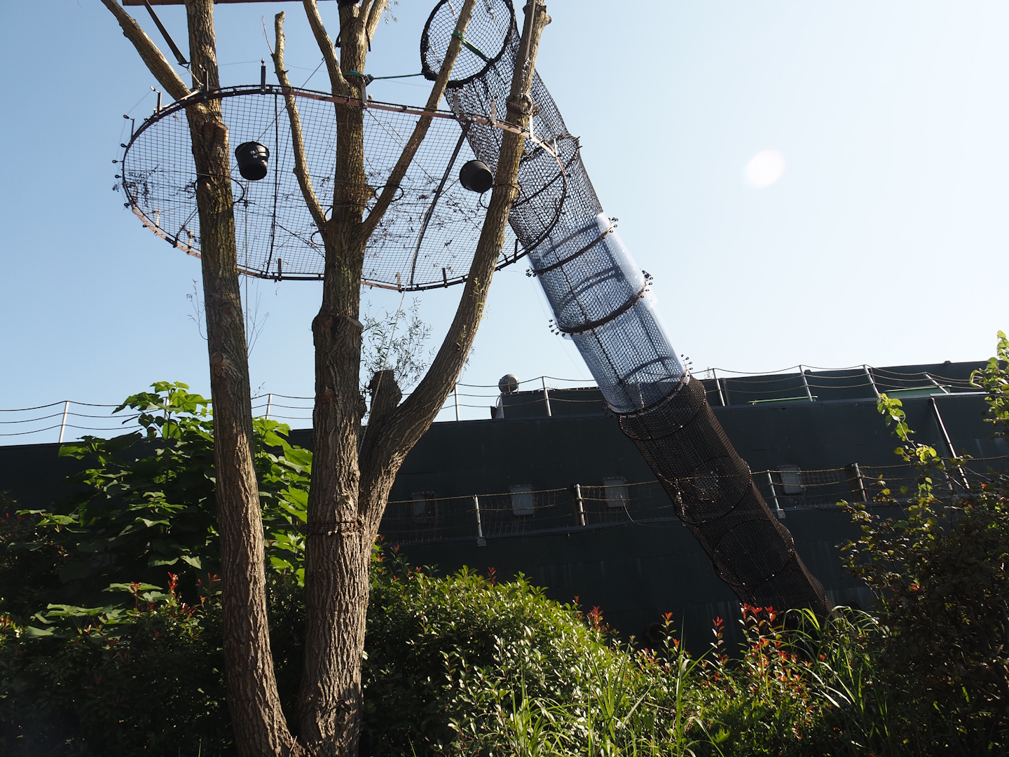 Islands of the Rising Sun - Hokkaido - Siamang tunnel between indoor exhibit and outdoor structures, 2024-09-17