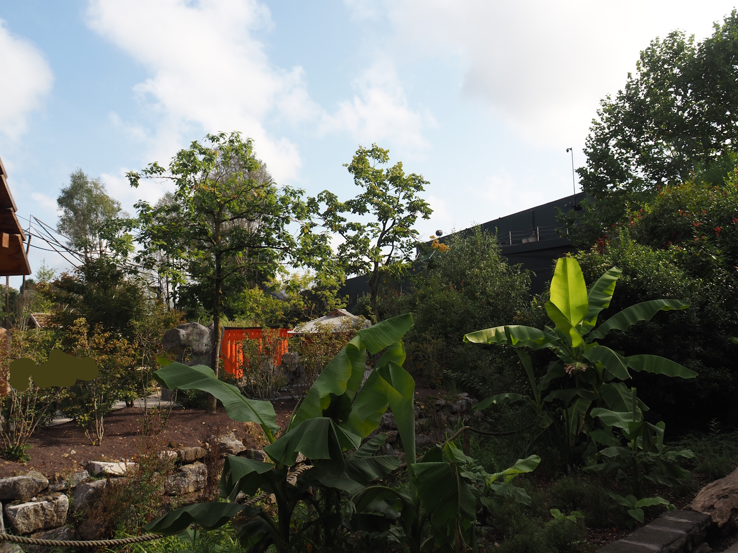 Islands of the Rising Sun - Honshu - Japanese garden, 2024-09-17