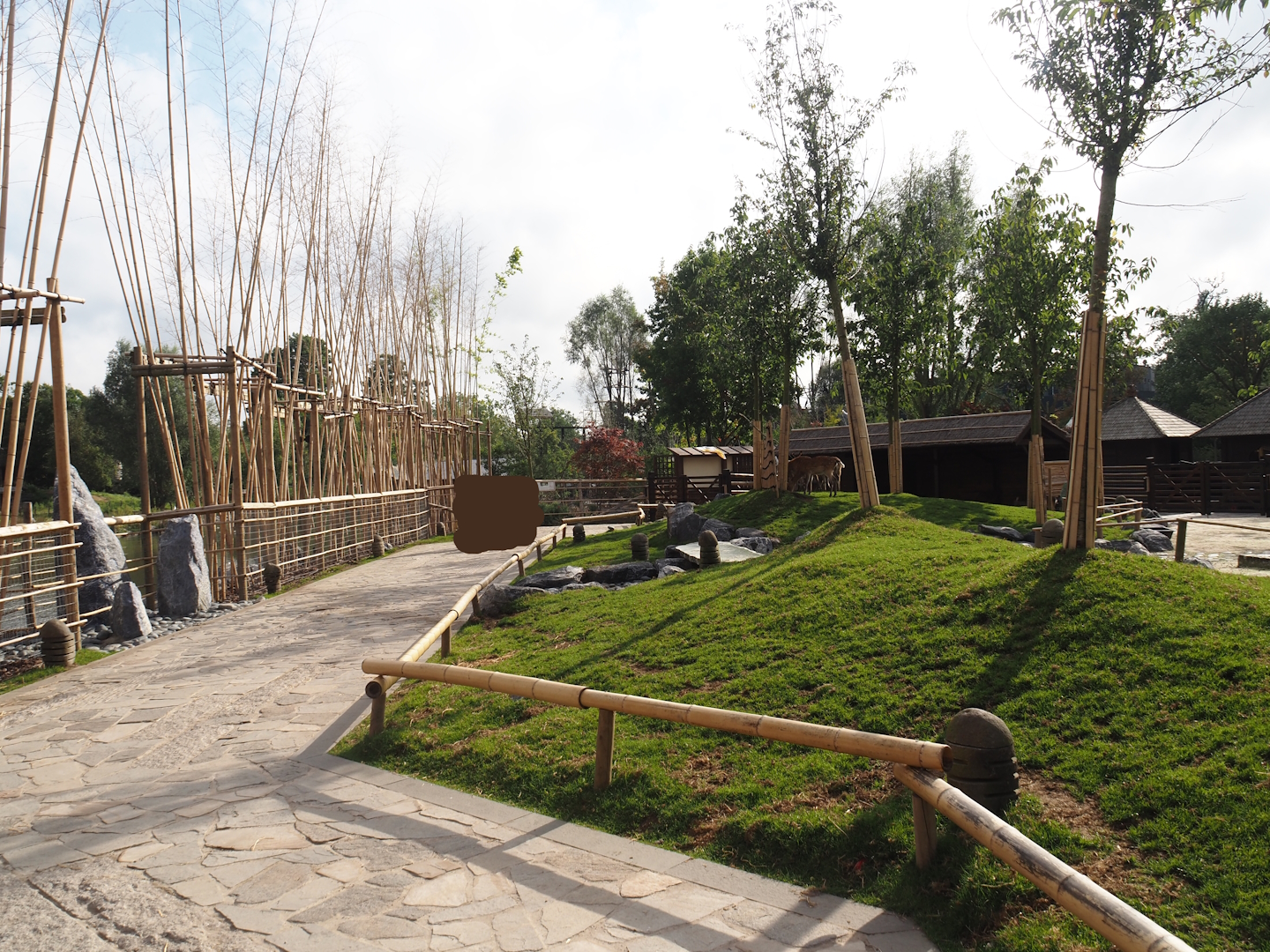 Islands of the Rising Sun - Honshu - Japanese sika deer walk-through exhibit, 2024-09-17