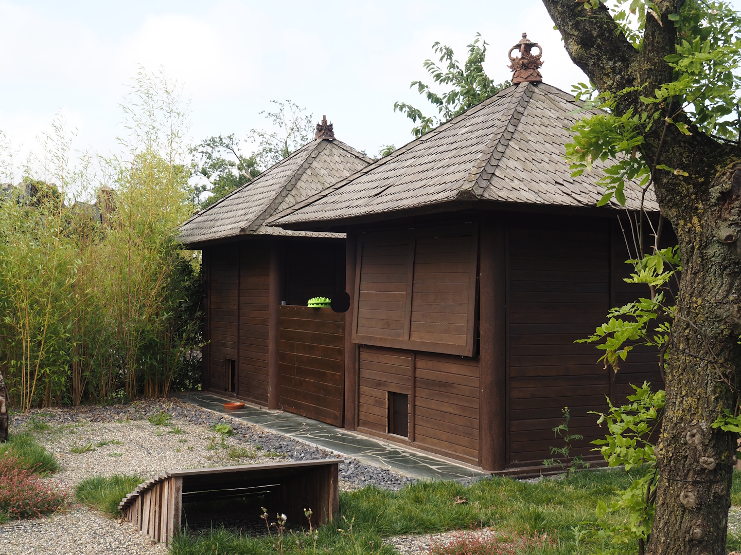 Islands of the Rising Sun - Honshu - White raccoon dog huts, 2024-09-17