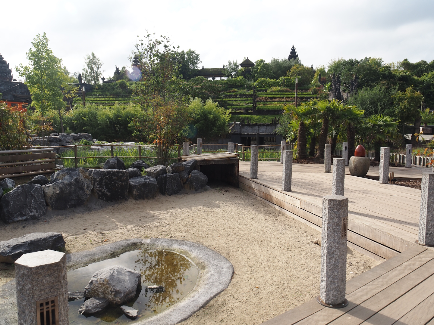 Islands of the Rising Sun - Kyushu - Walk-through exhibit with Onagadori chickens and African spurred tortoises, 2024-09-17