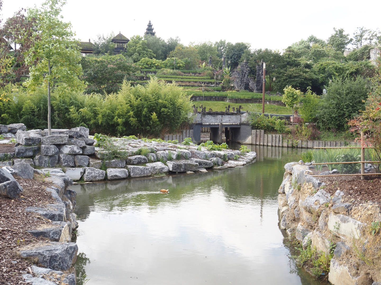 Islands of the Rising Sun - Shikoku - Section of the water buffalo exhibit, 2024-09-17