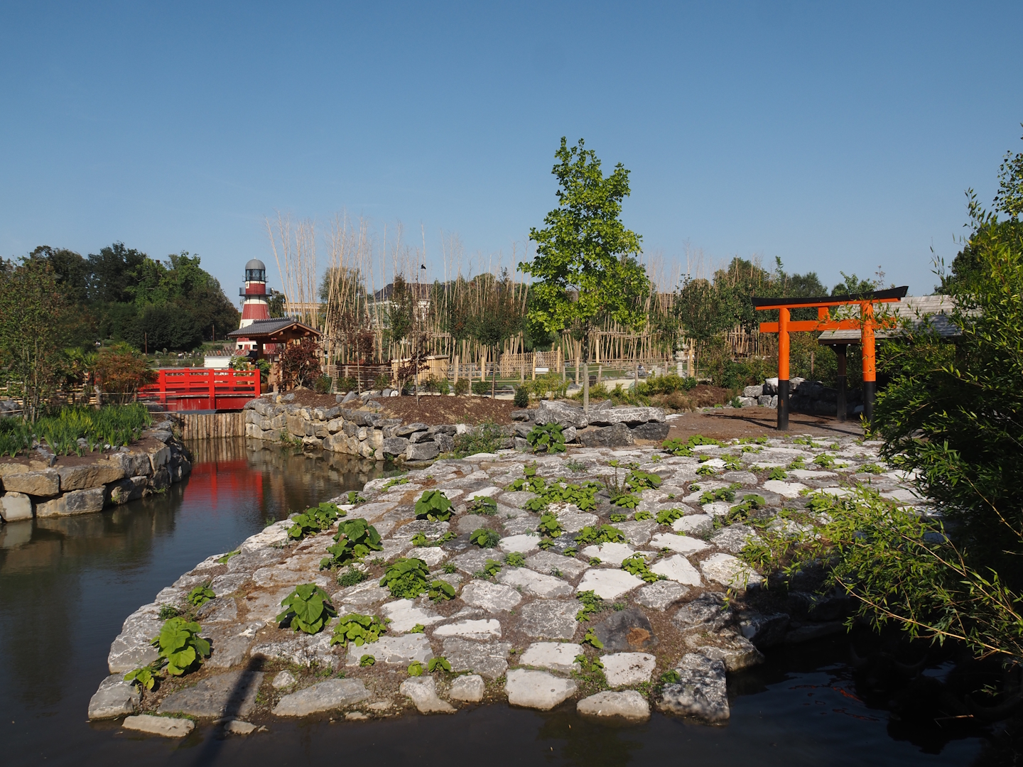 Islands of the Rising Sun - Shikoku - Section of the water buffalo exhibit, 2024-09-17
