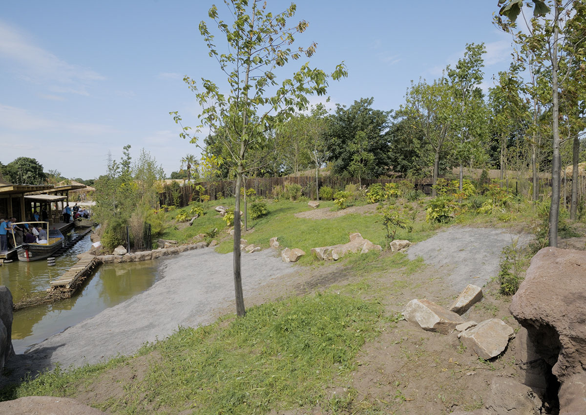 Islands on Foot - Anoa Paddock