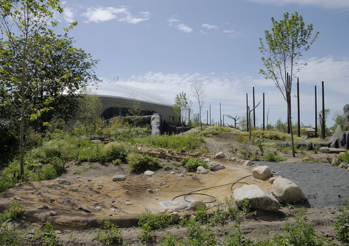 Islands on Foot - Babirusa pen under construction