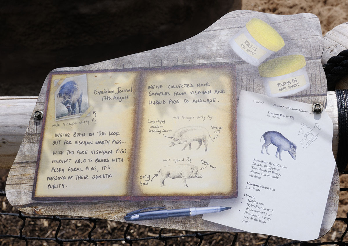 Islands on Foot - Warty Pig Sign