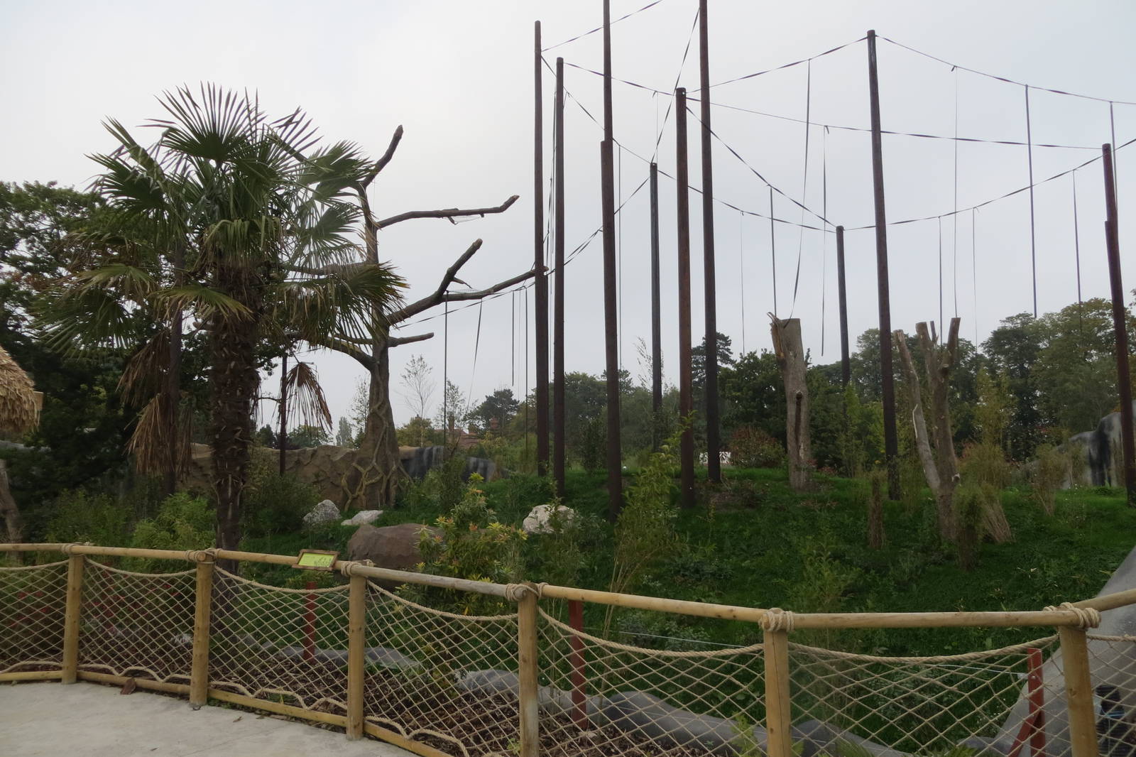 Islands - Orangutan enclosure 031015