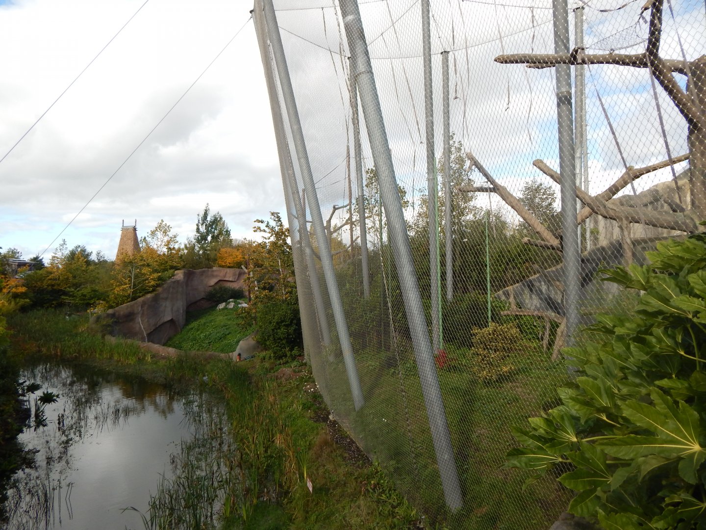 Islands - Orangutan (enclosure outdoors)? 071020