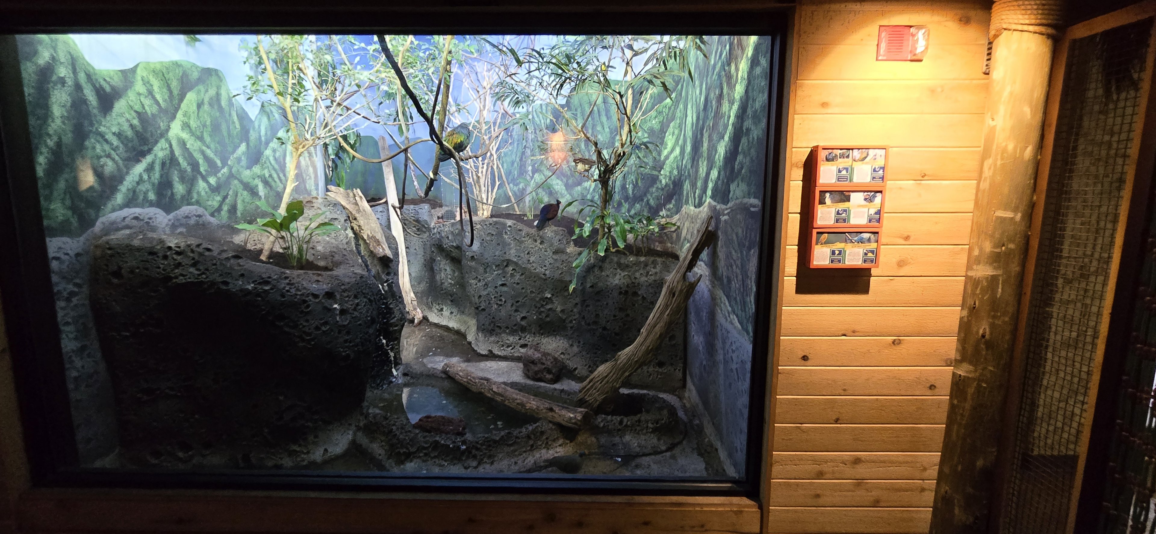 Islands Pavilion - birds