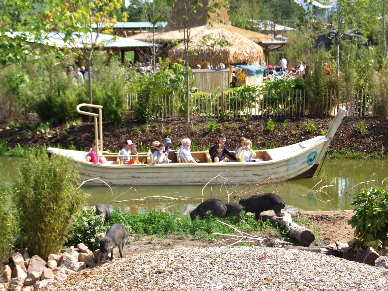 Islands Preview at Chester, 11/07/15