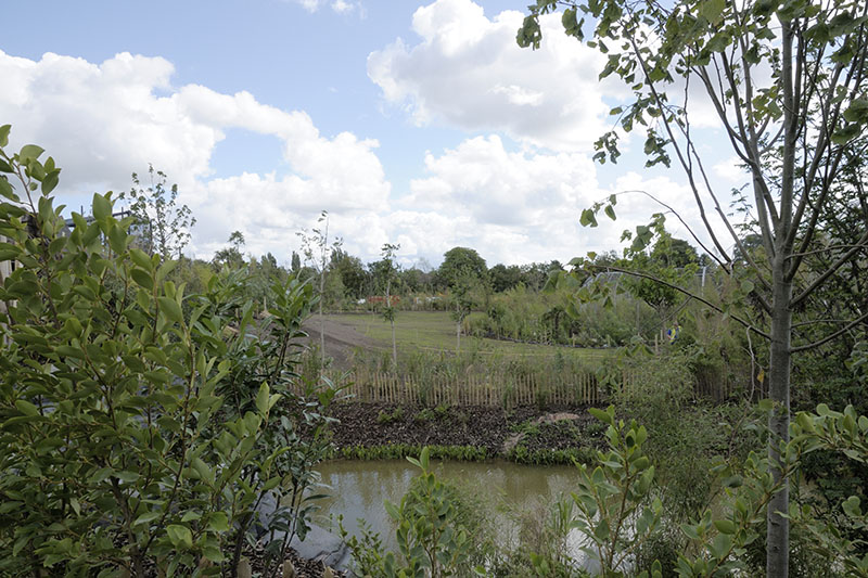Islands problem areas - the space for the tapirs