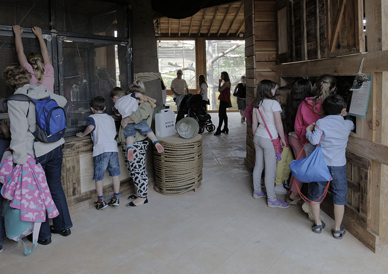 Islands problem areas - Tripa obstruction