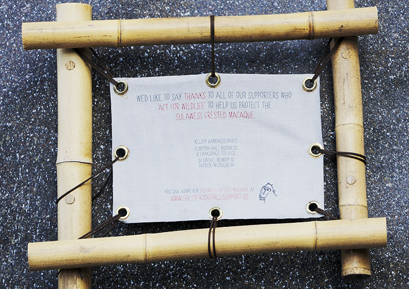 Islands progress - acknowledgement for sponsors