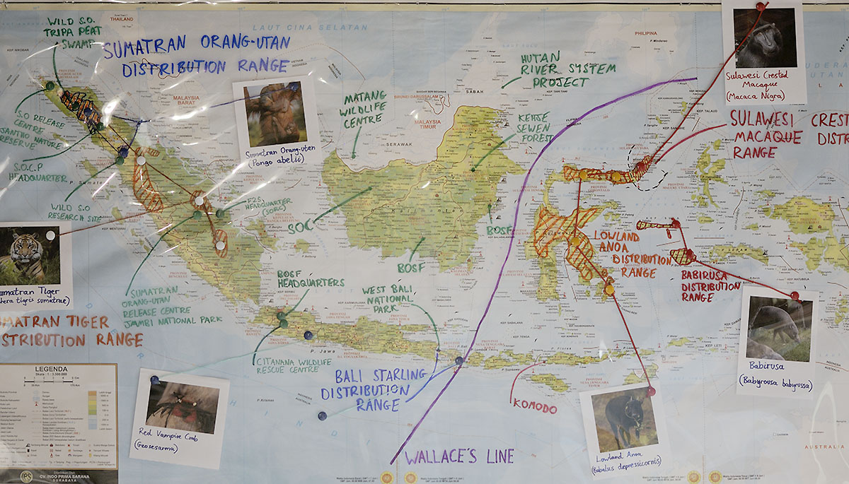 Islands progress - annotated map