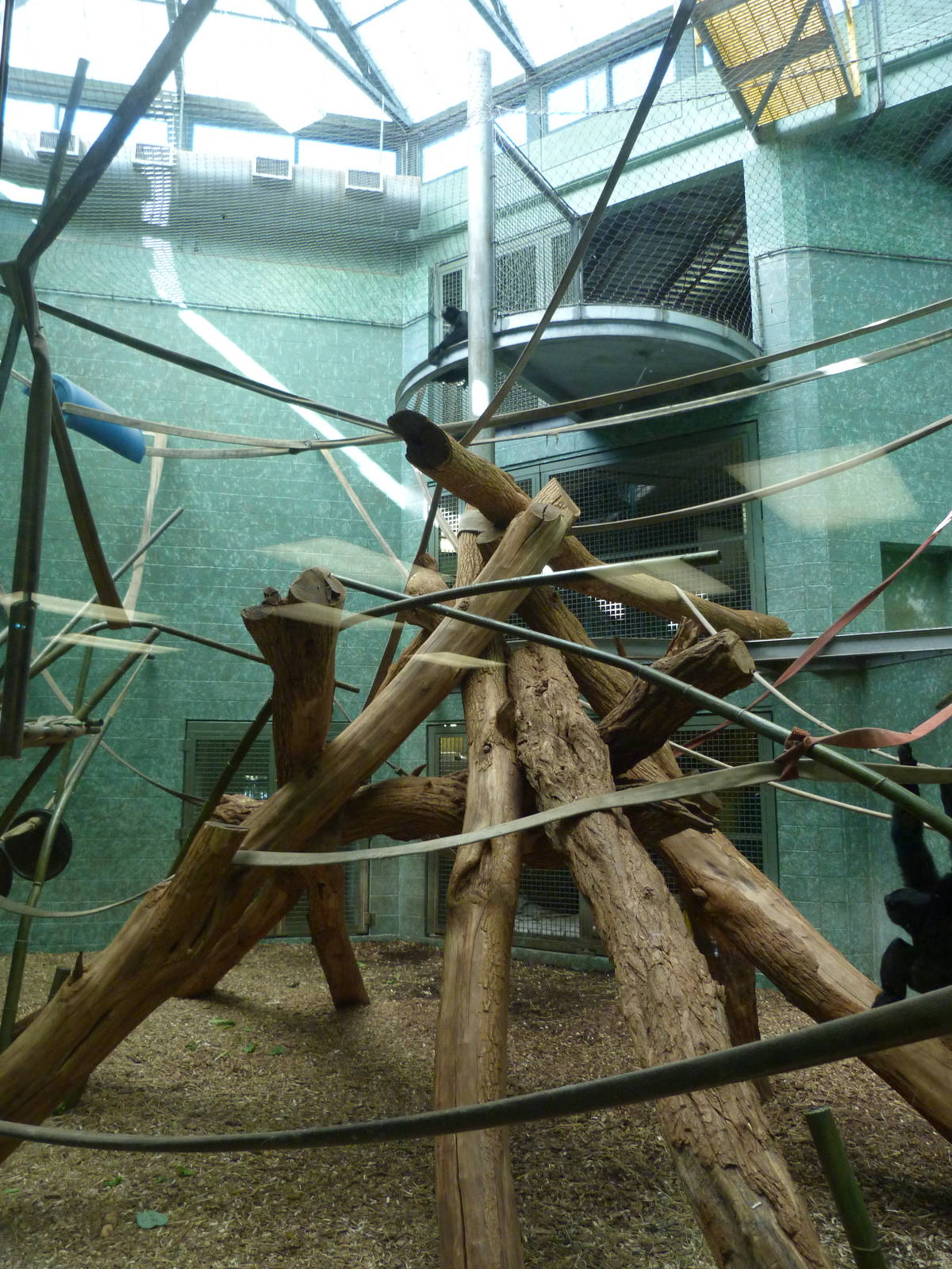 Islands Rotation Exhibit (Indoors)