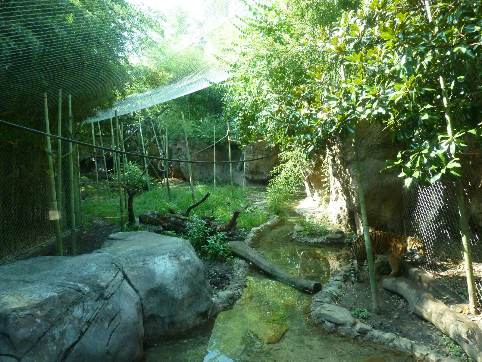 Islands - Rotation Exhibit