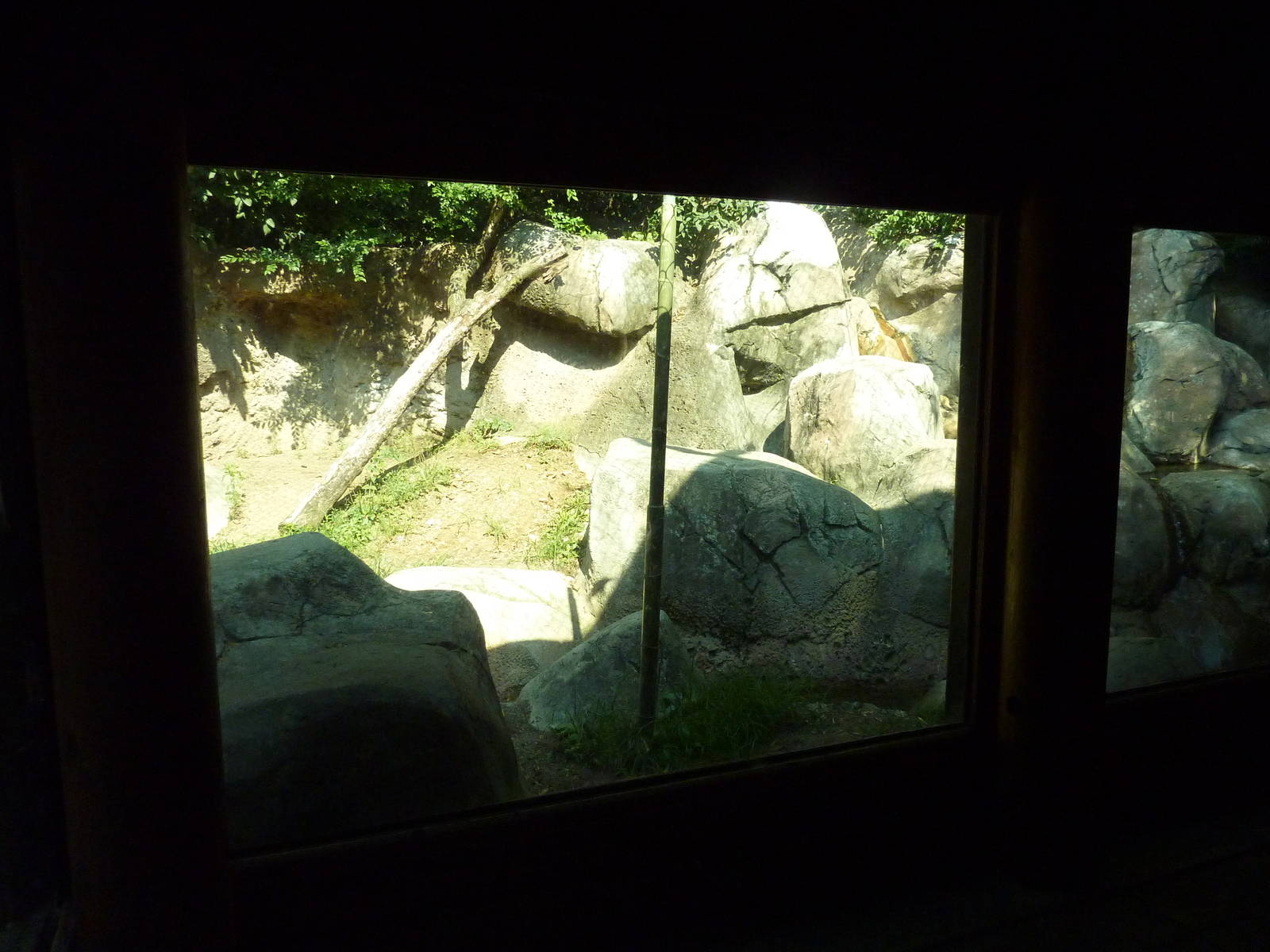 Islands - Rotation Exhibit