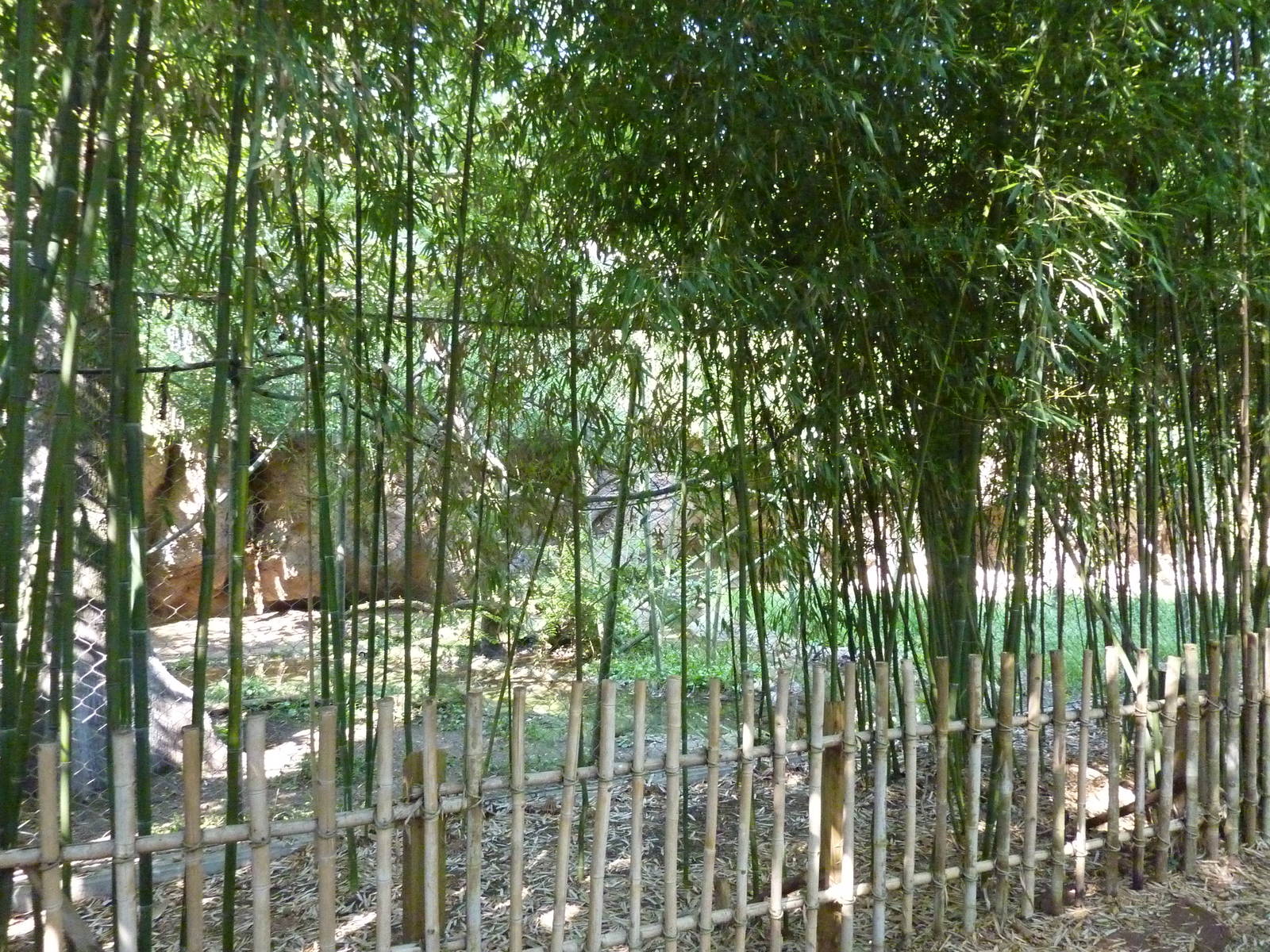 Islands - Rotation Exhibit