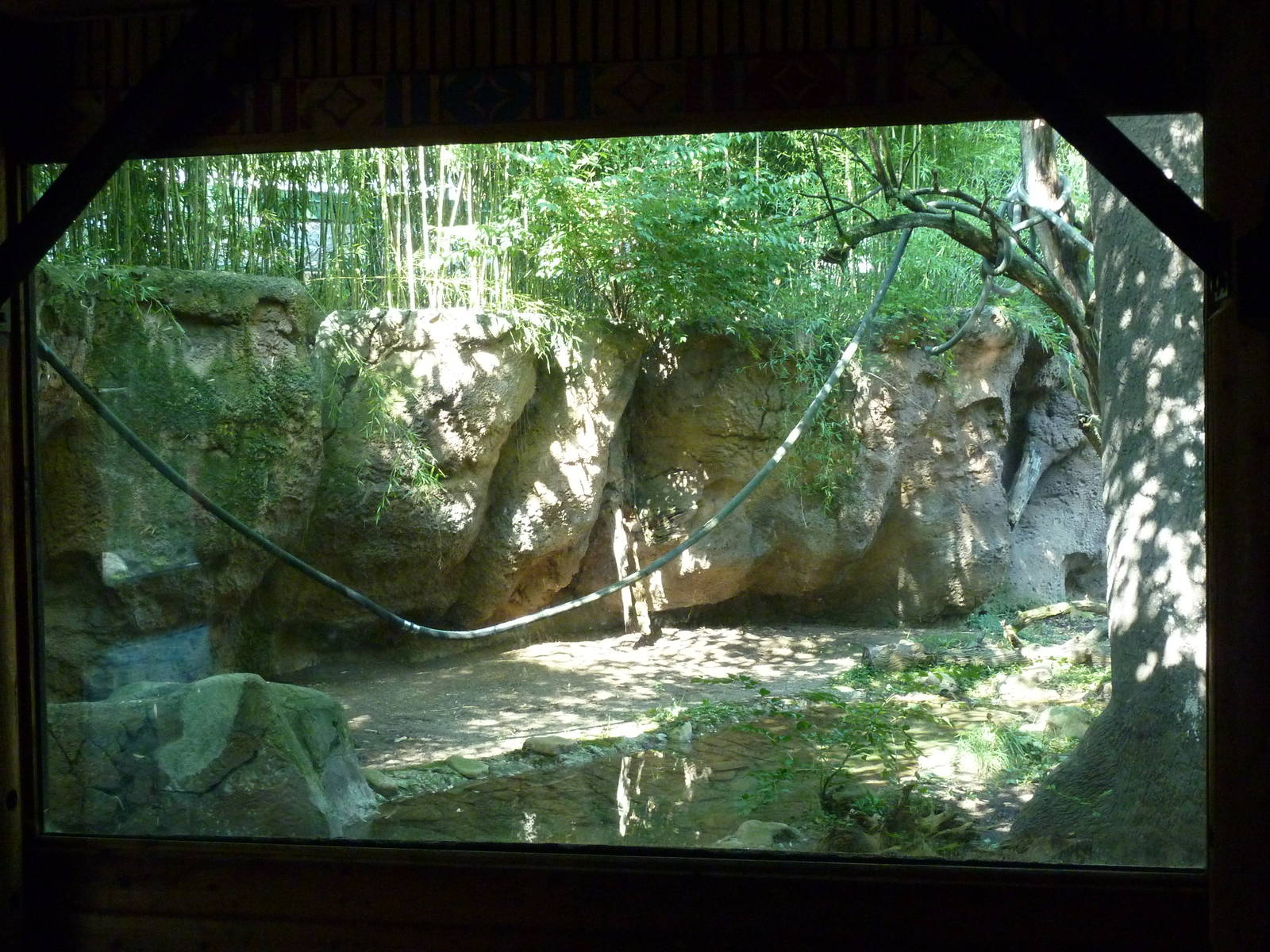 Islands - Rotation Exhibit