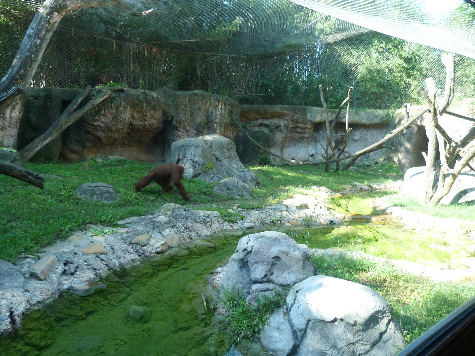 Islands Rotation Exhibit