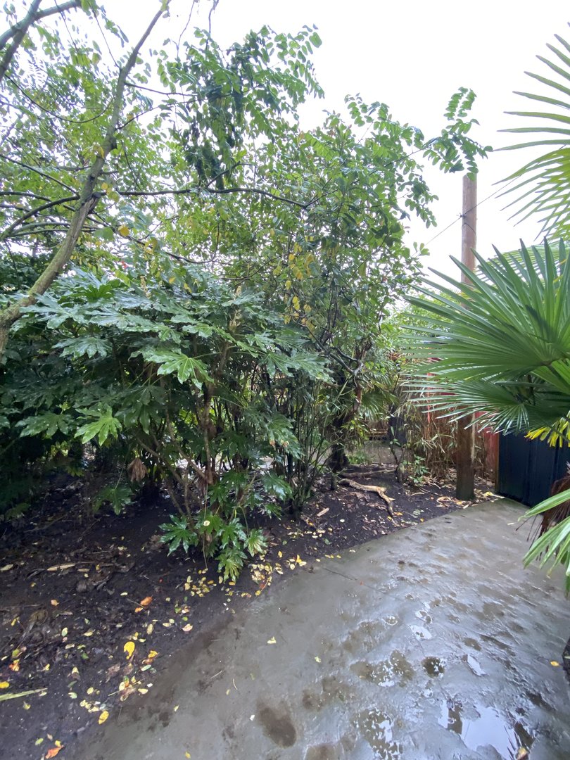 Islands smaller aviary 221022