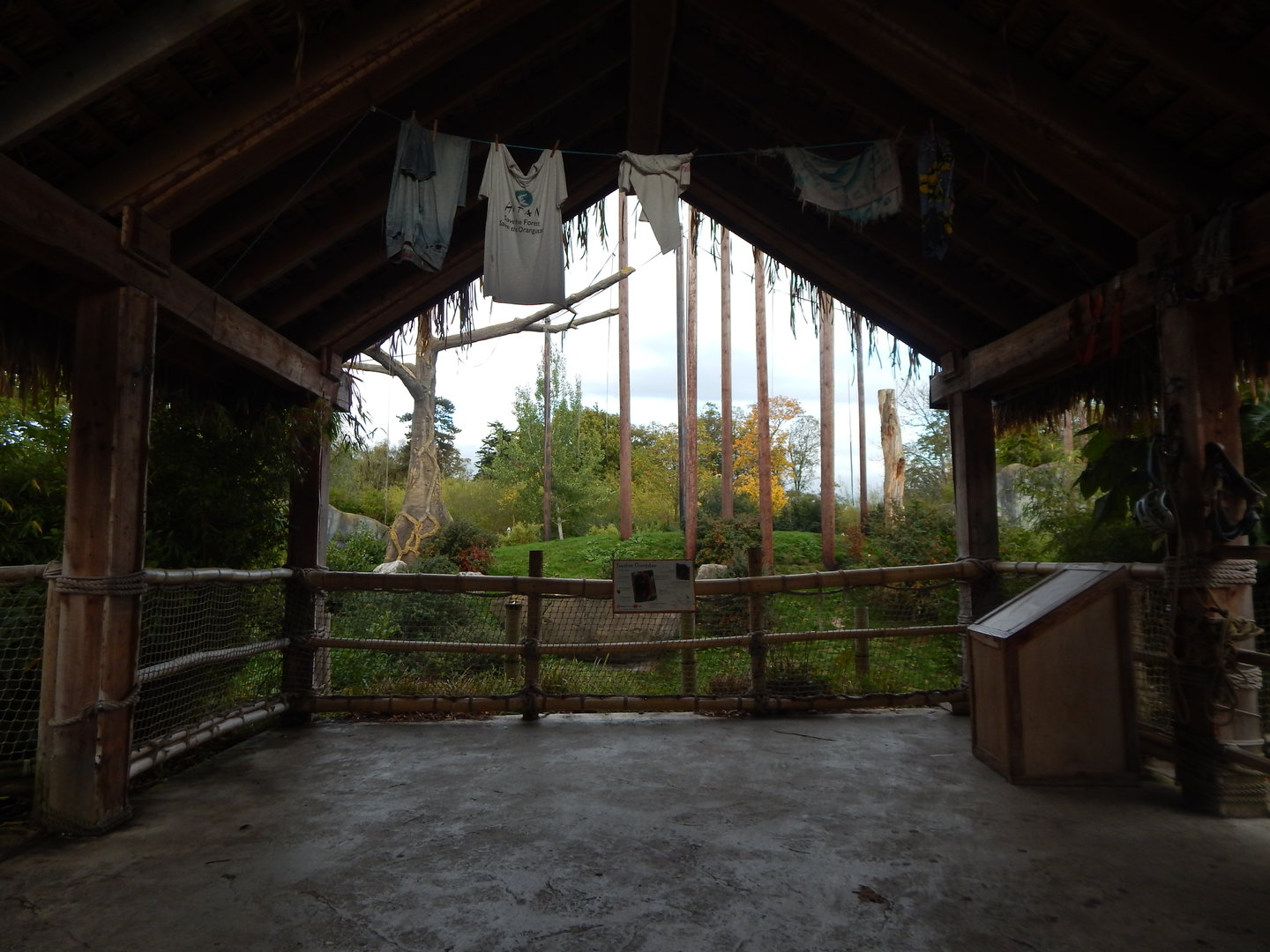 Islands - Sumatran orangutan enclosure 221022