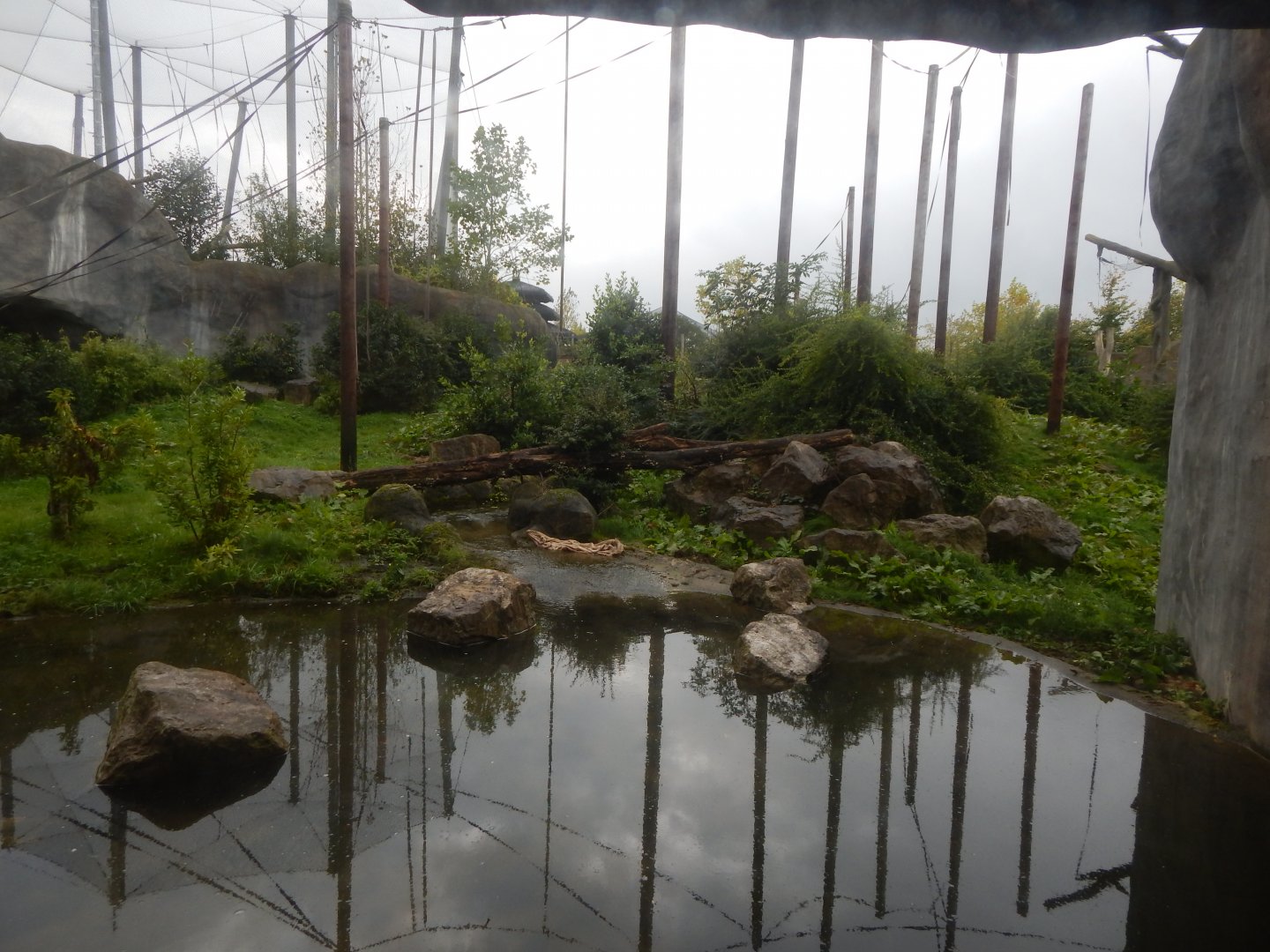 Islands - Sumatran orangutan exhibit 181021