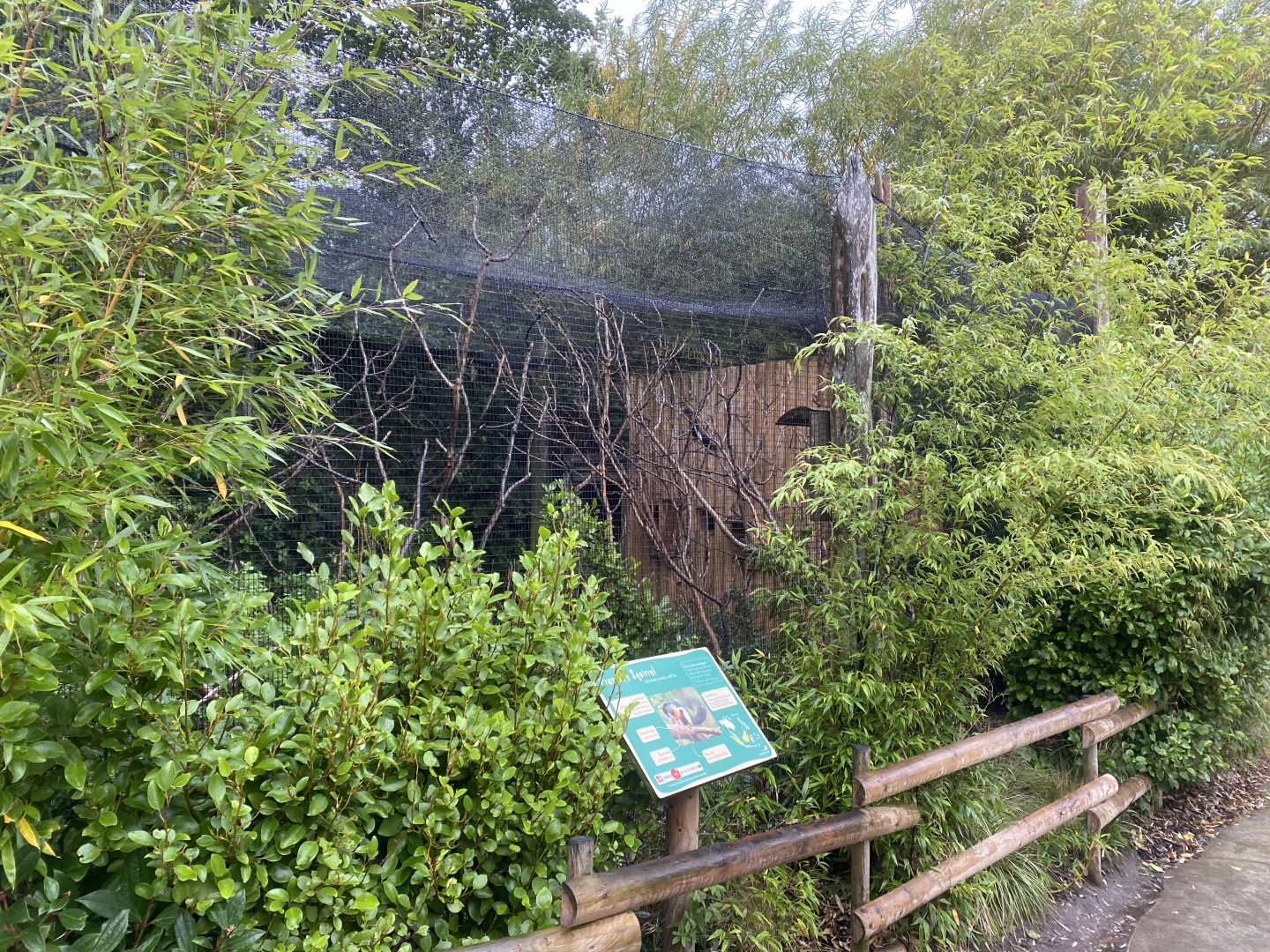 Islands - Sumatran Prevost's squirrel enclosure 181021