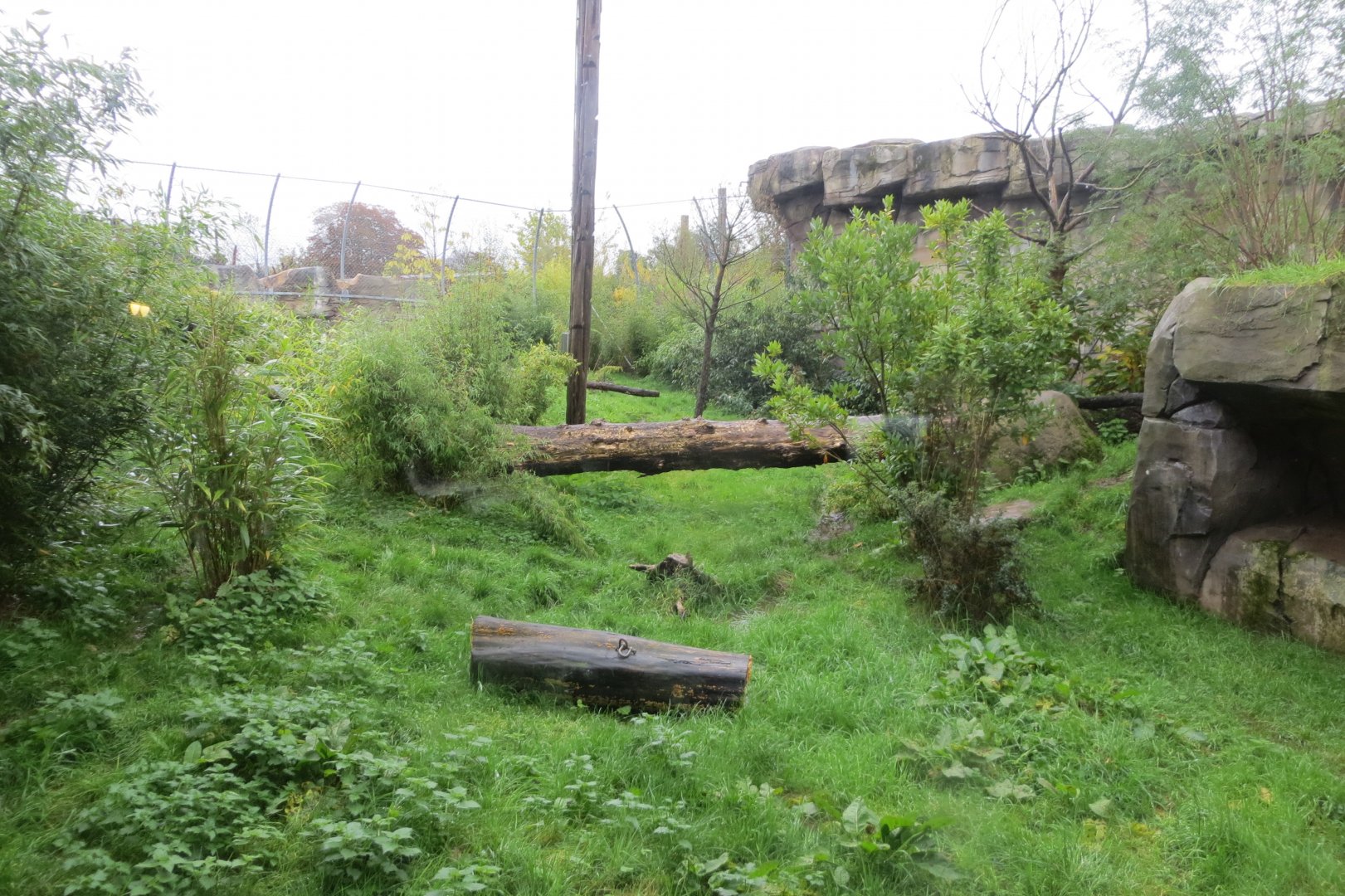 Islands - Sumatran riger enclosure 261019