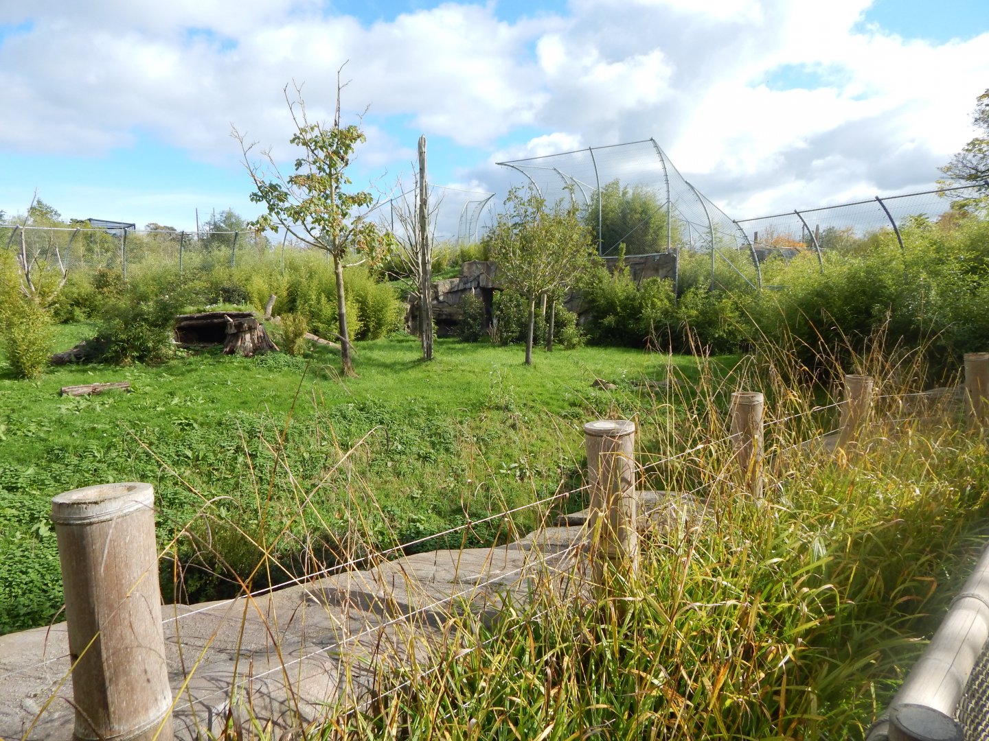 Islands - Sumatran tiger enclosure 071020