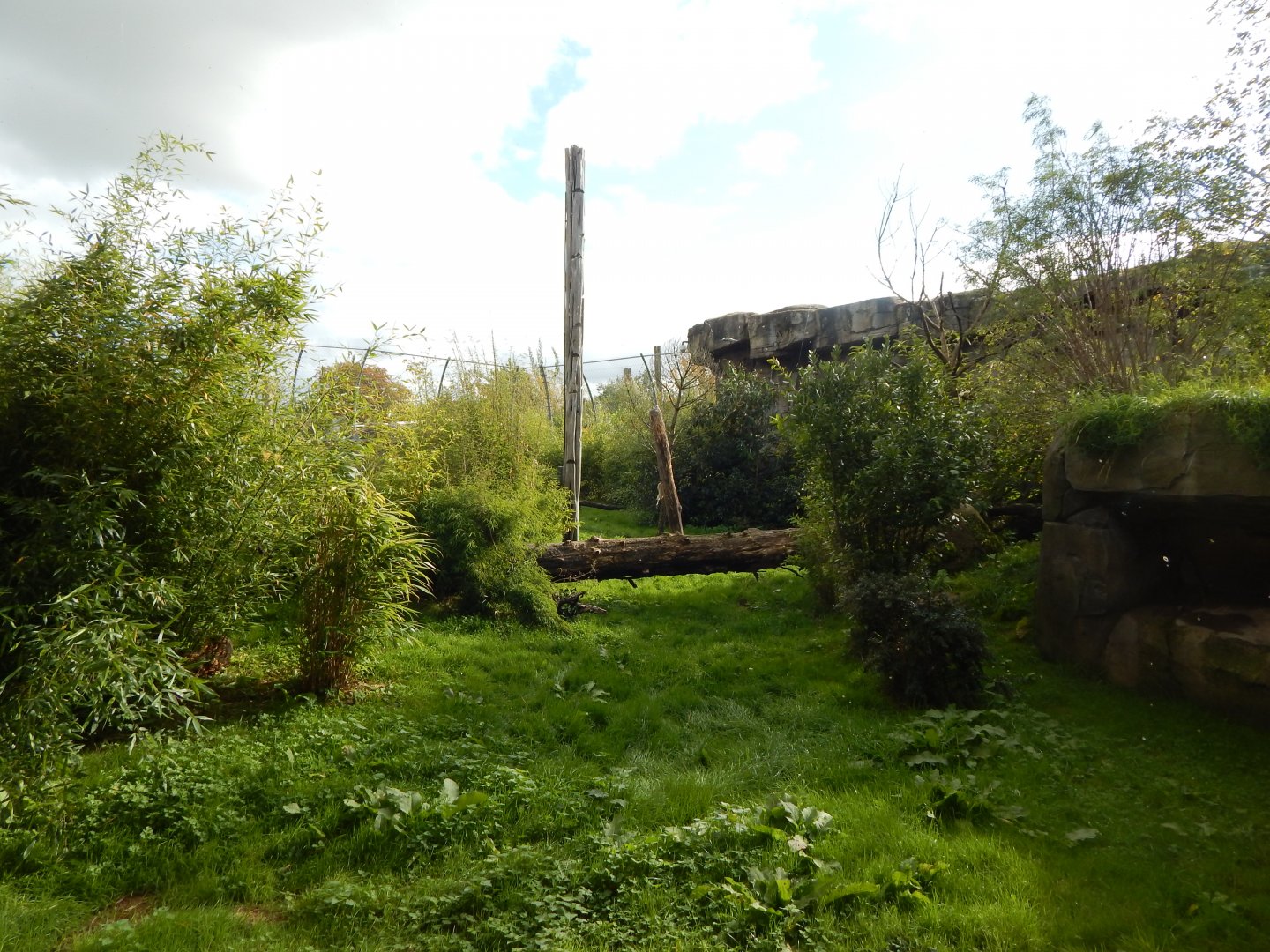 Islands - Sumatran tiger enclosure 071020