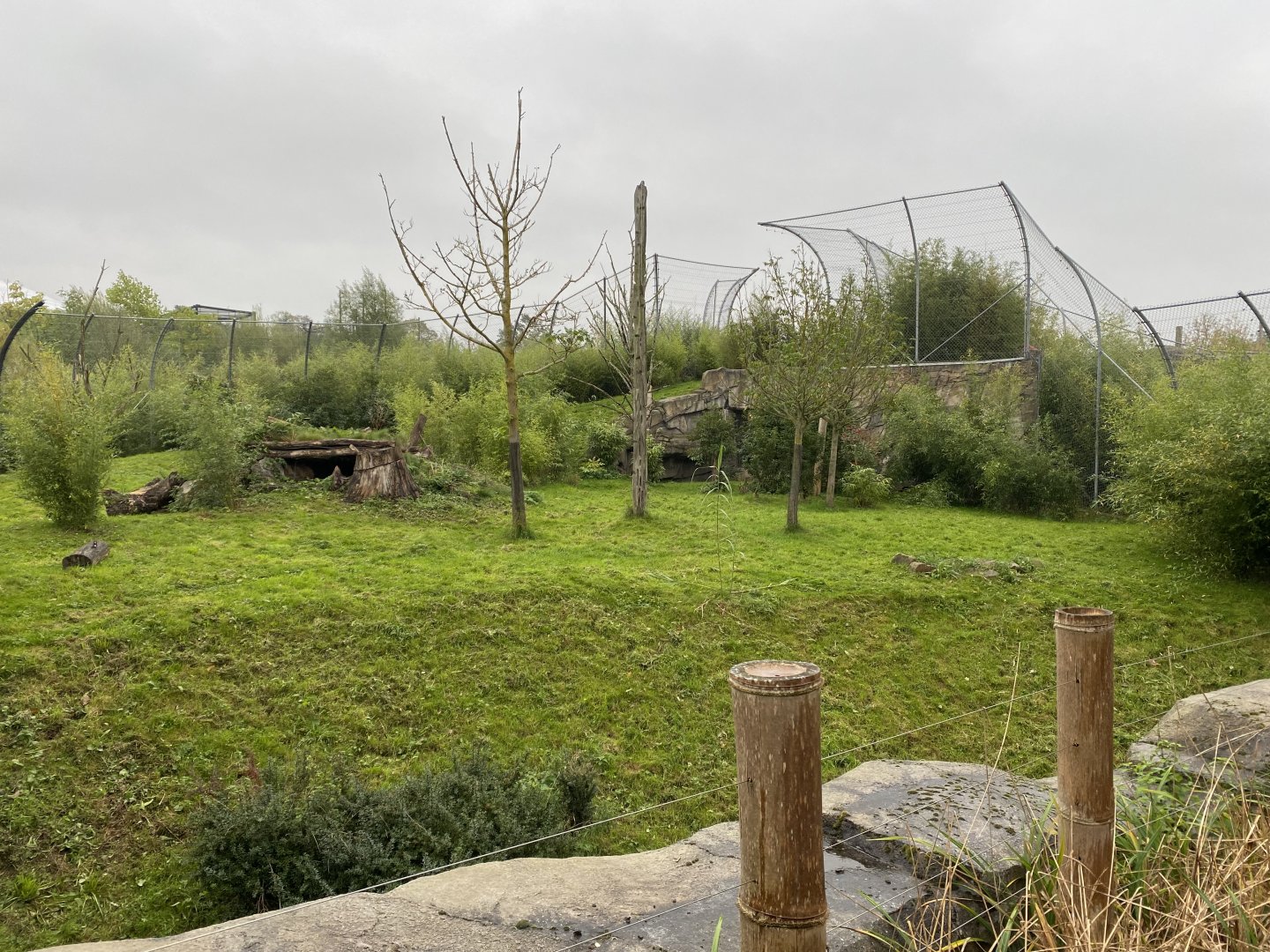 Islands - Sumatran tiger enclosure 181021