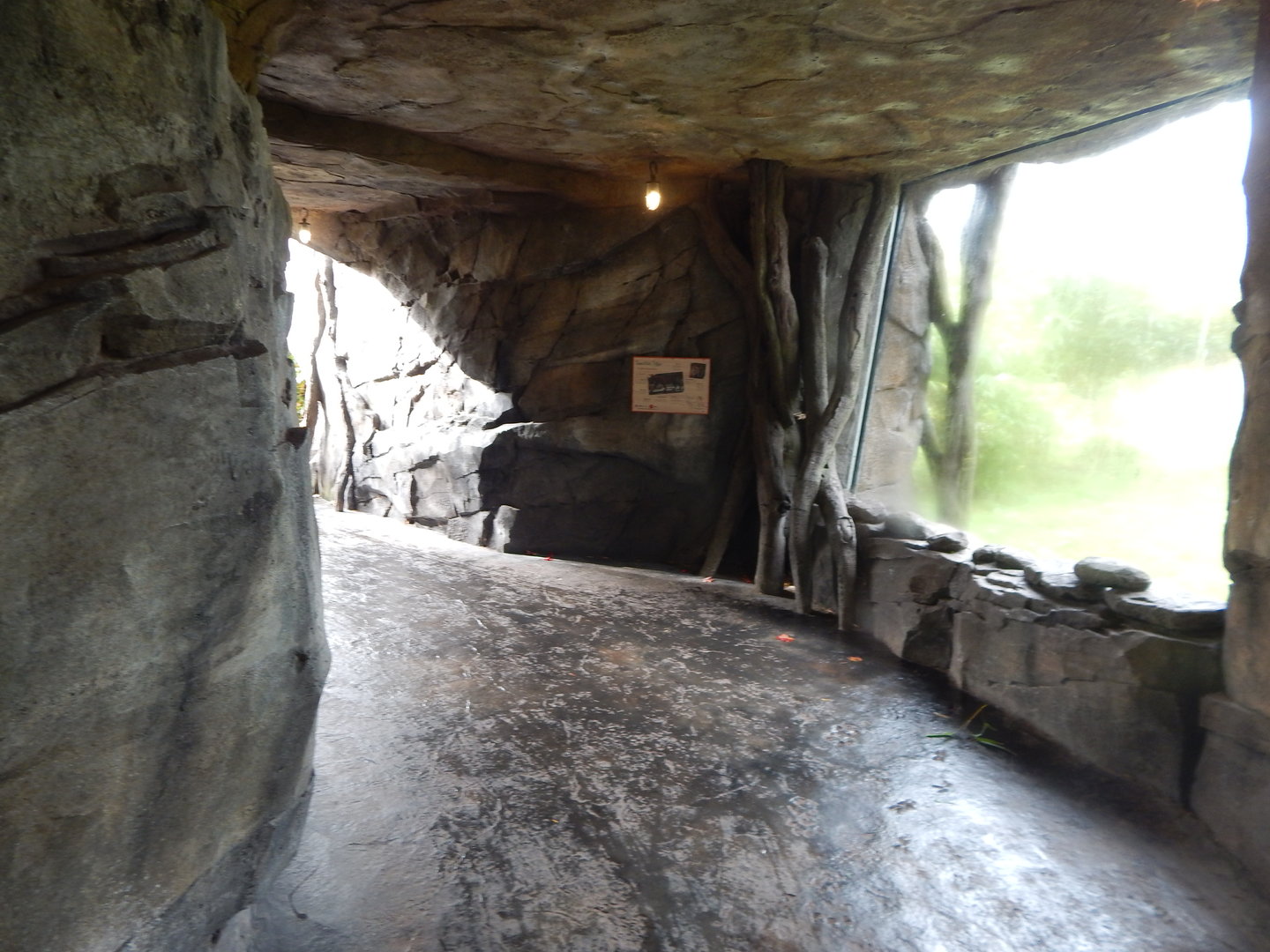 Islands - Sumatran tiger enclosure 221022