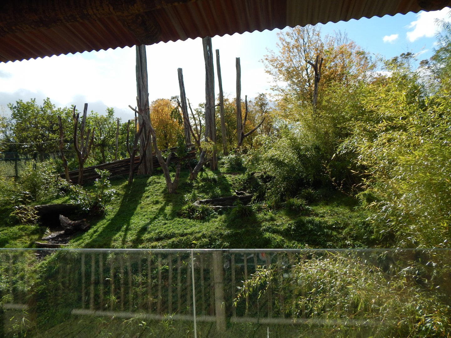 Islands - Sun bear enclosure 071020