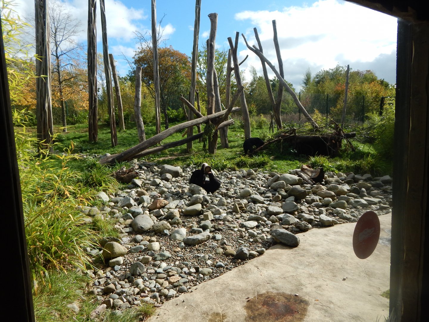 Islands - Sun bear enclosure 071020