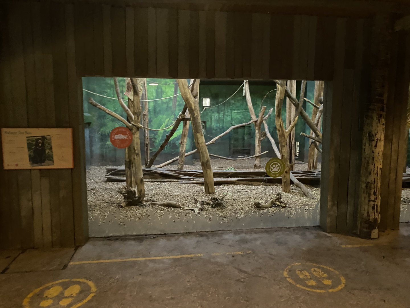 Islands - Sun bear enclosure 181021