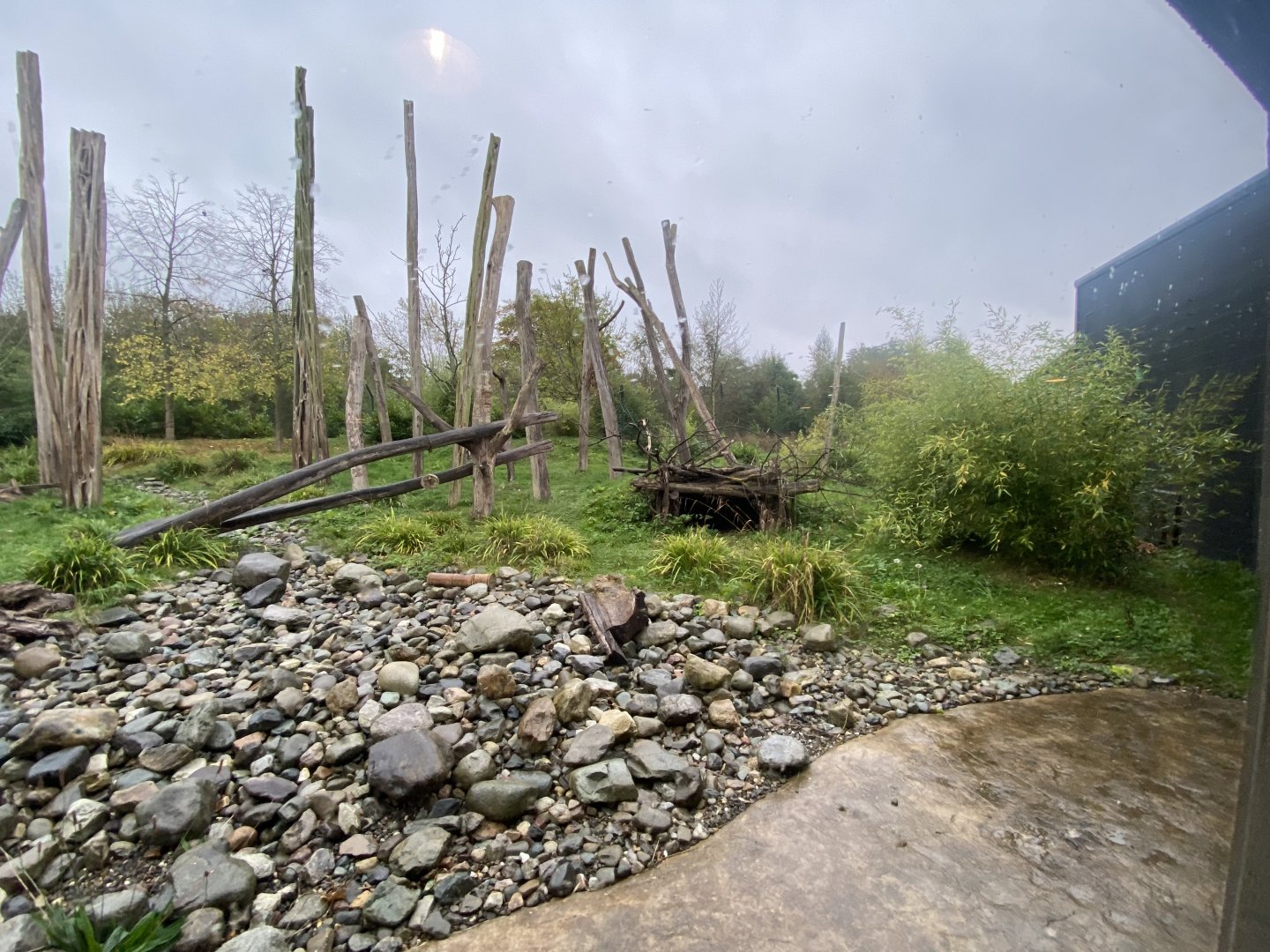 Islands - Sun bear enclosure 181021