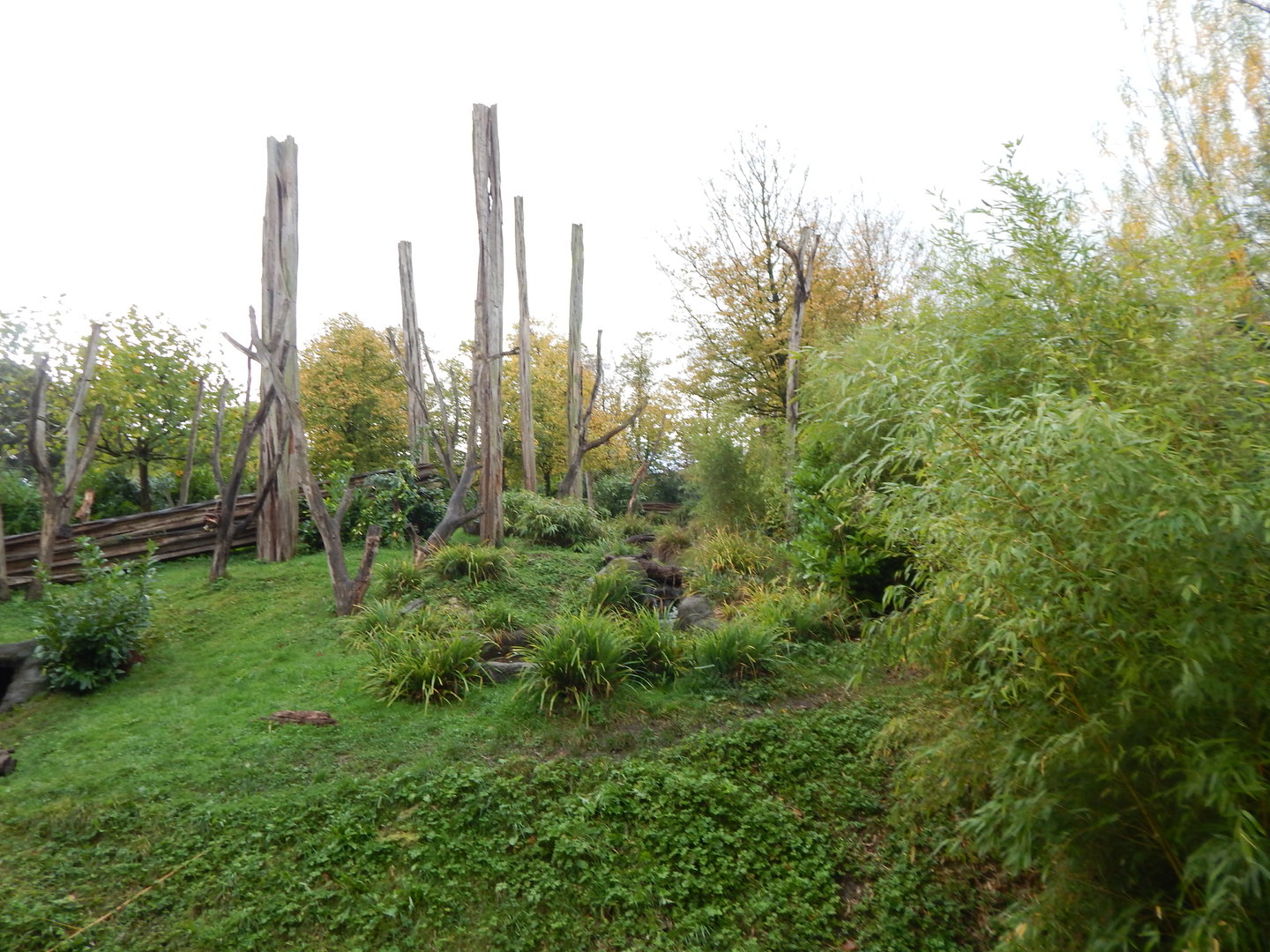 Islands - Sun bear enclosure 221022