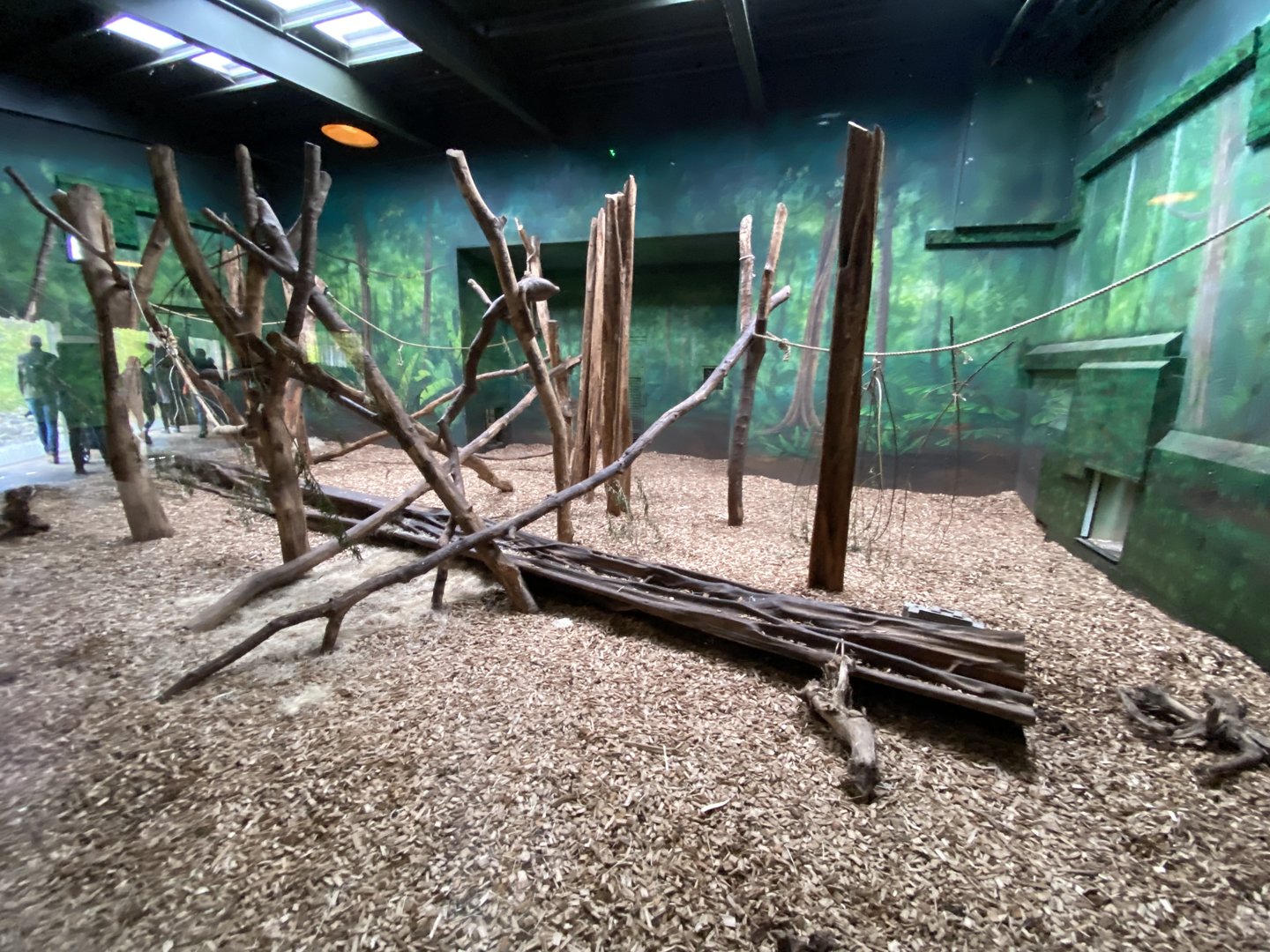 Islands - Sun bear enclosure 221022