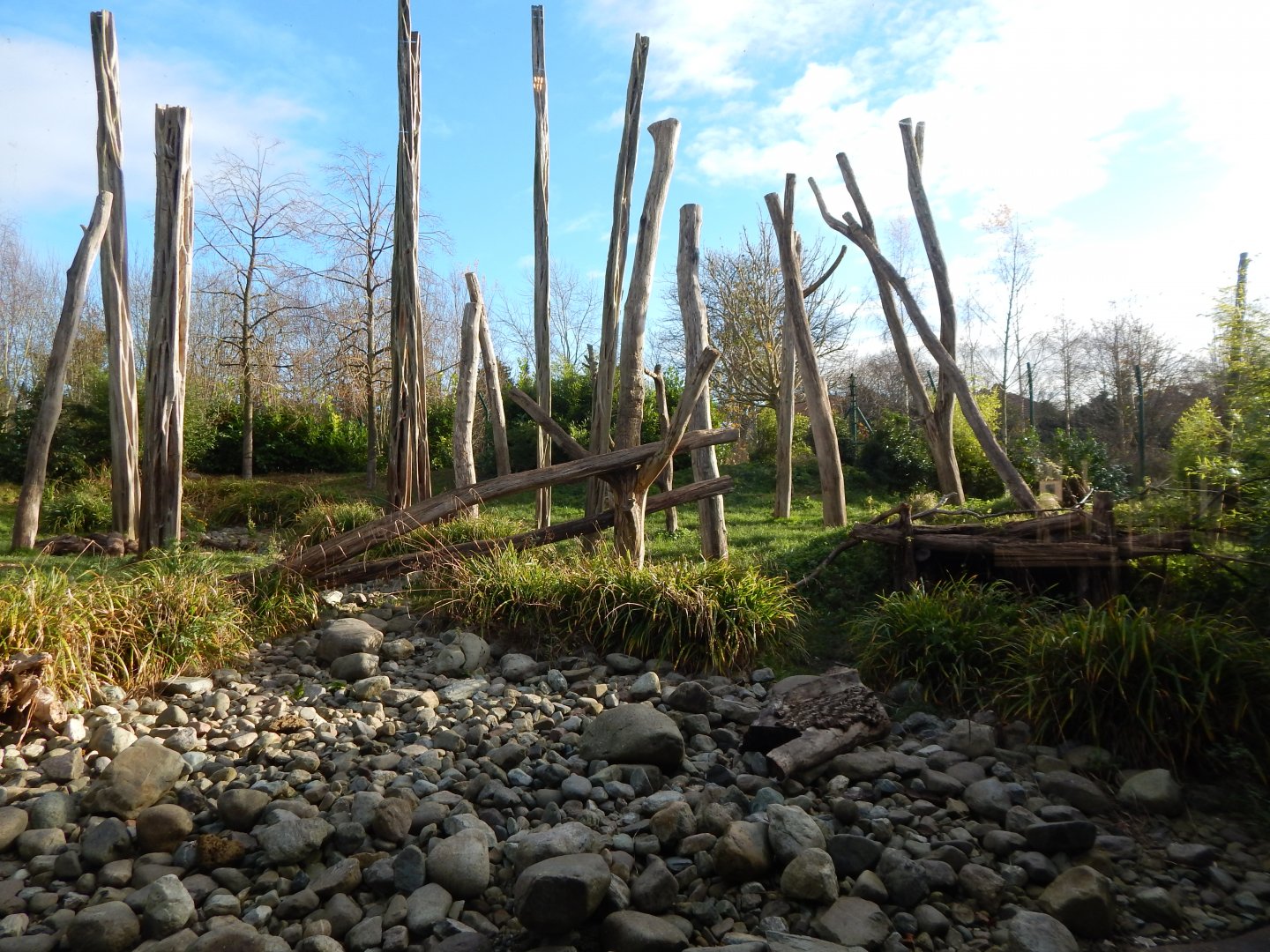 Islands - Sun bear enclosure 241123